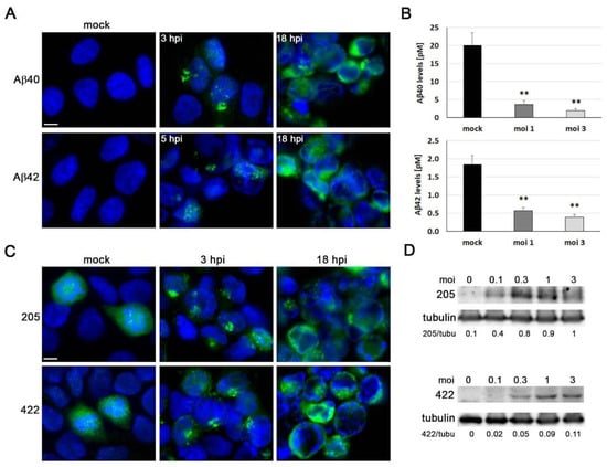 Herpes Simplex Virus-1 in the Brain: The Dark Side of a Sneaky Infection:  Trends in Microbiology