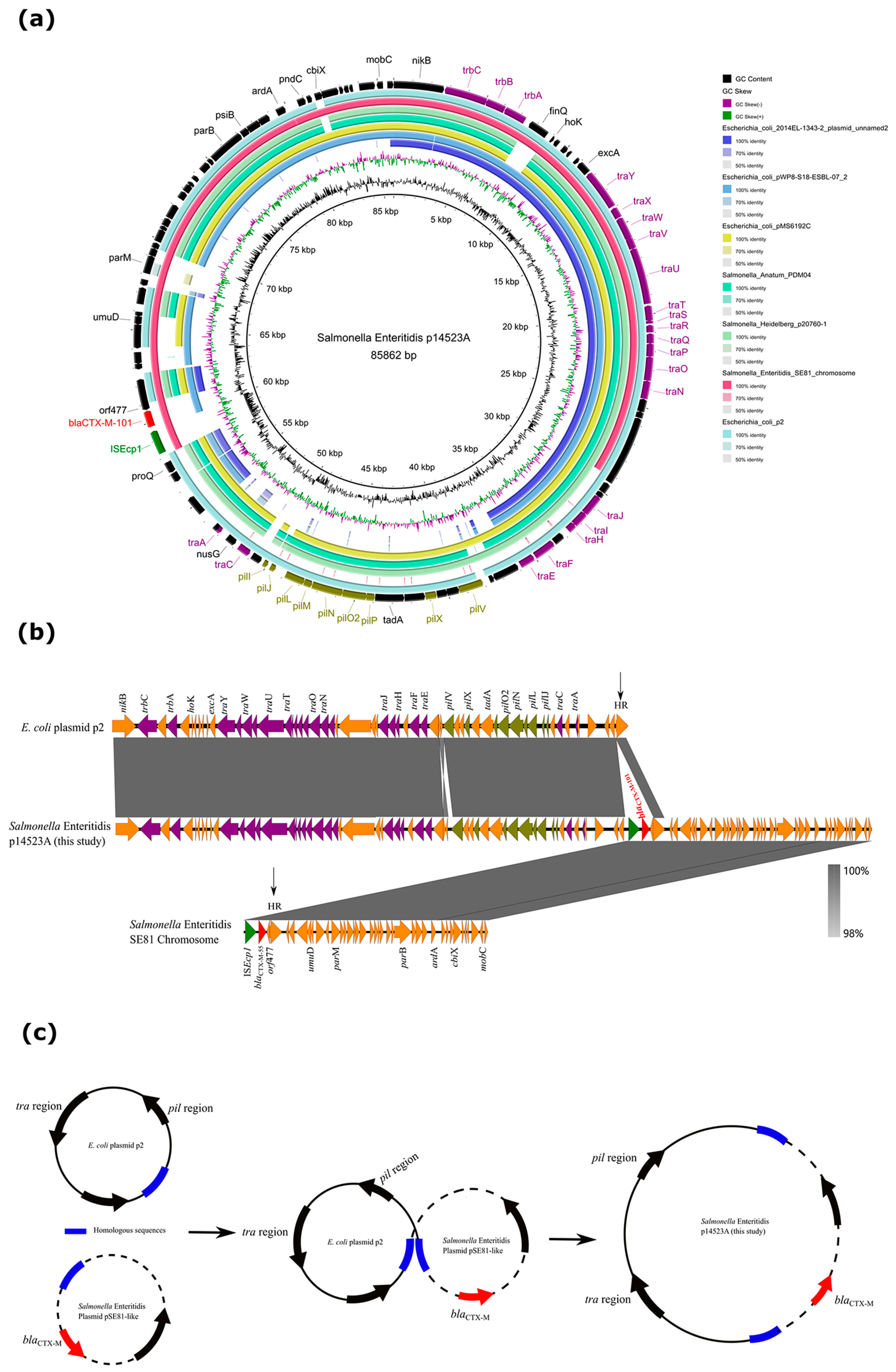 Microorganisms 11 01275 g002 Microorganisms 11 01275 g002