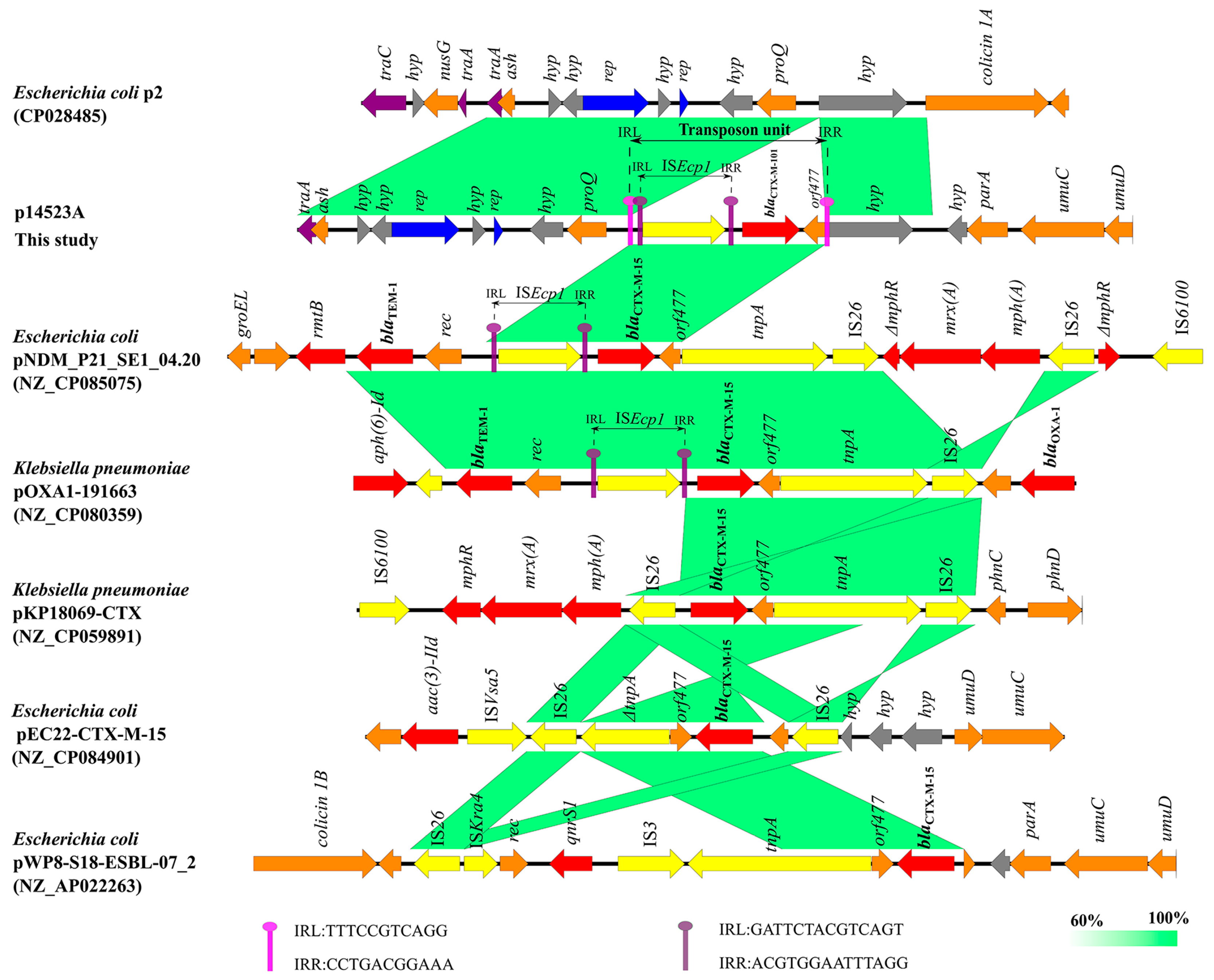 Microorganisms 11 01275 g003 Microorganisms 11 01275 g003