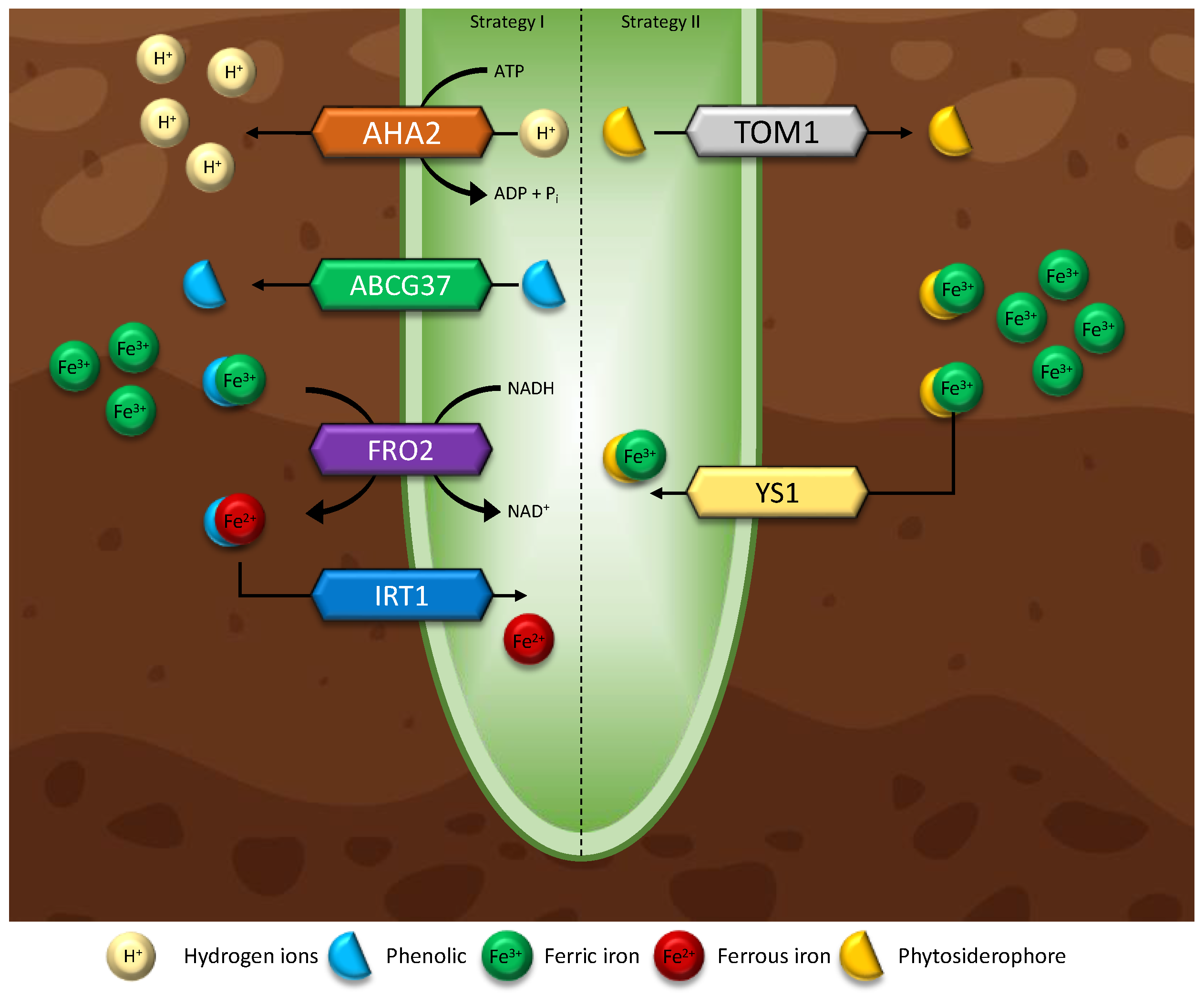 Microorganisms 11 01276 g004 Microorganisms 11 01276 g004