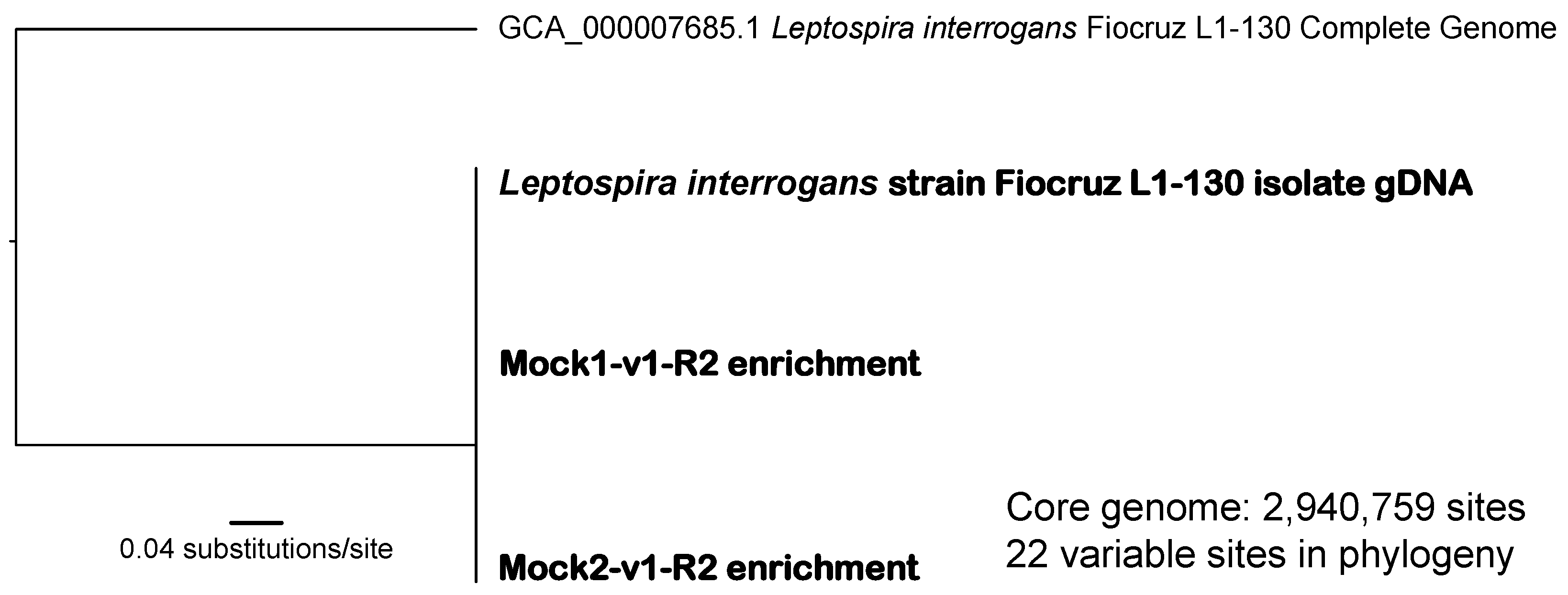 Microorganisms 11 01282 g002 Microorganisms 11 01282 g002
