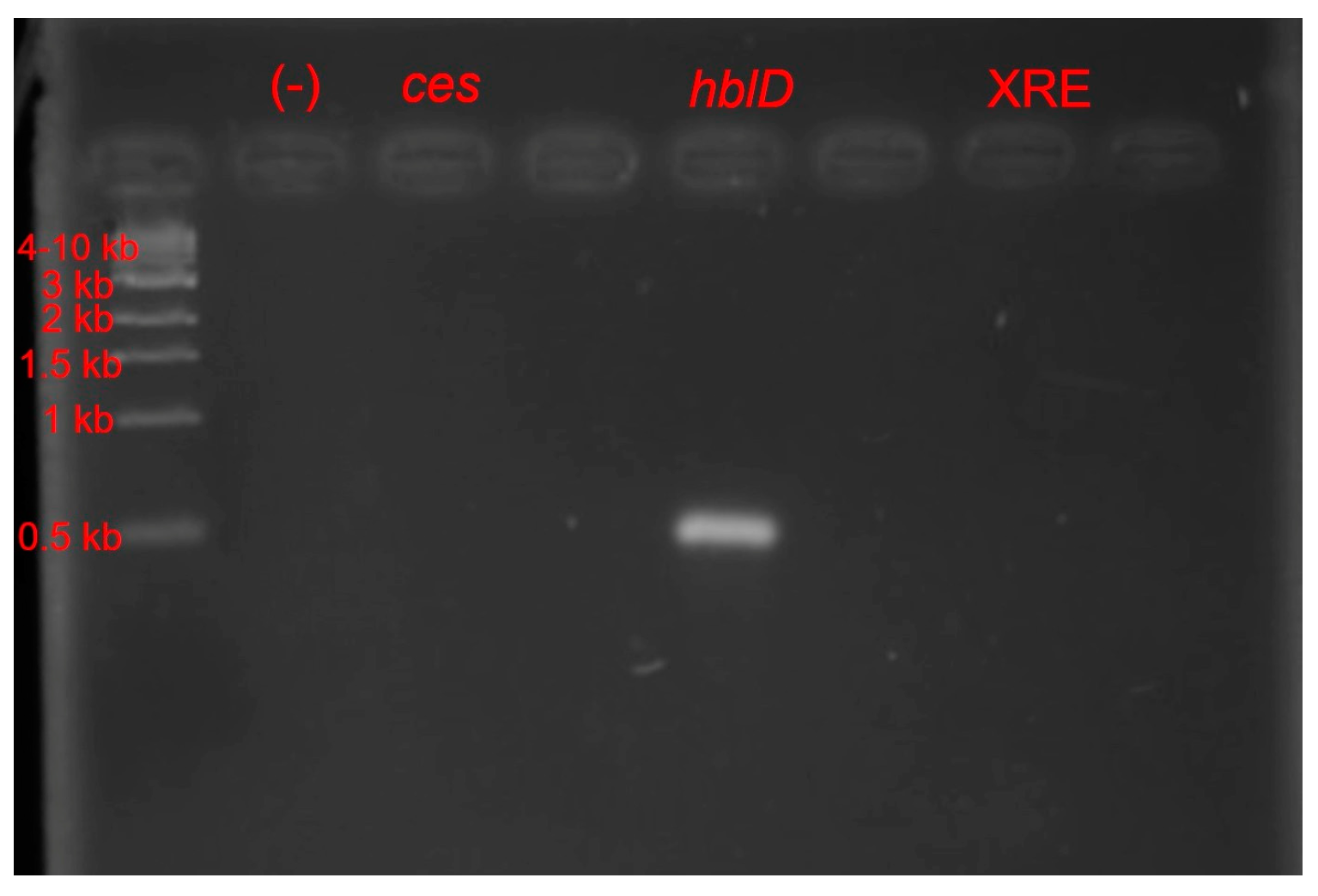 Microorganisms 11 01284 g003