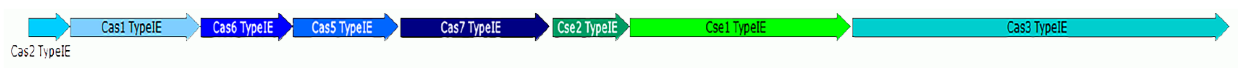 Microorganisms 11 01314 g004 Microorganisms 11 01314 g004