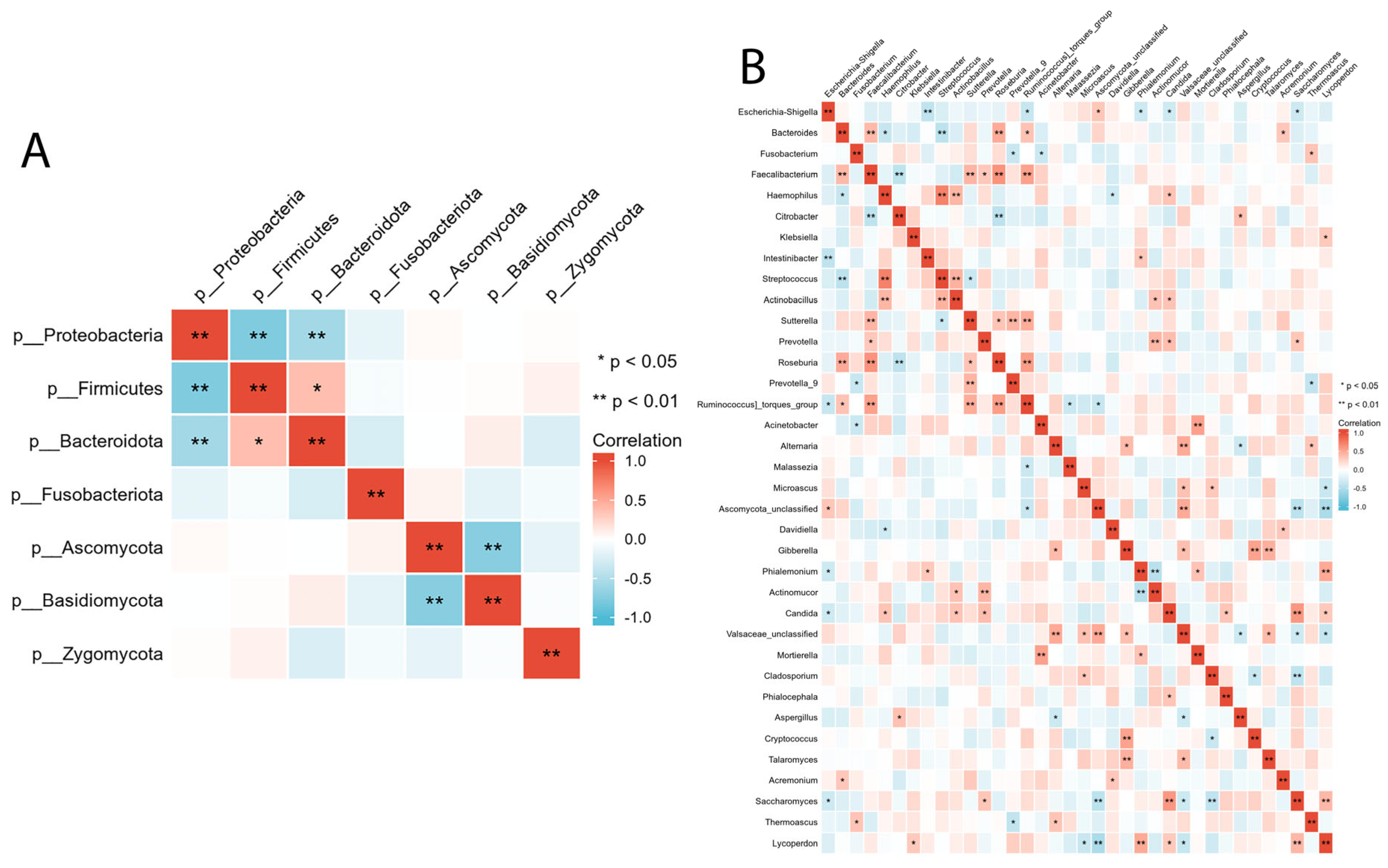 Microorganisms 11 01327 g005 Microorganisms 11 01327 g005