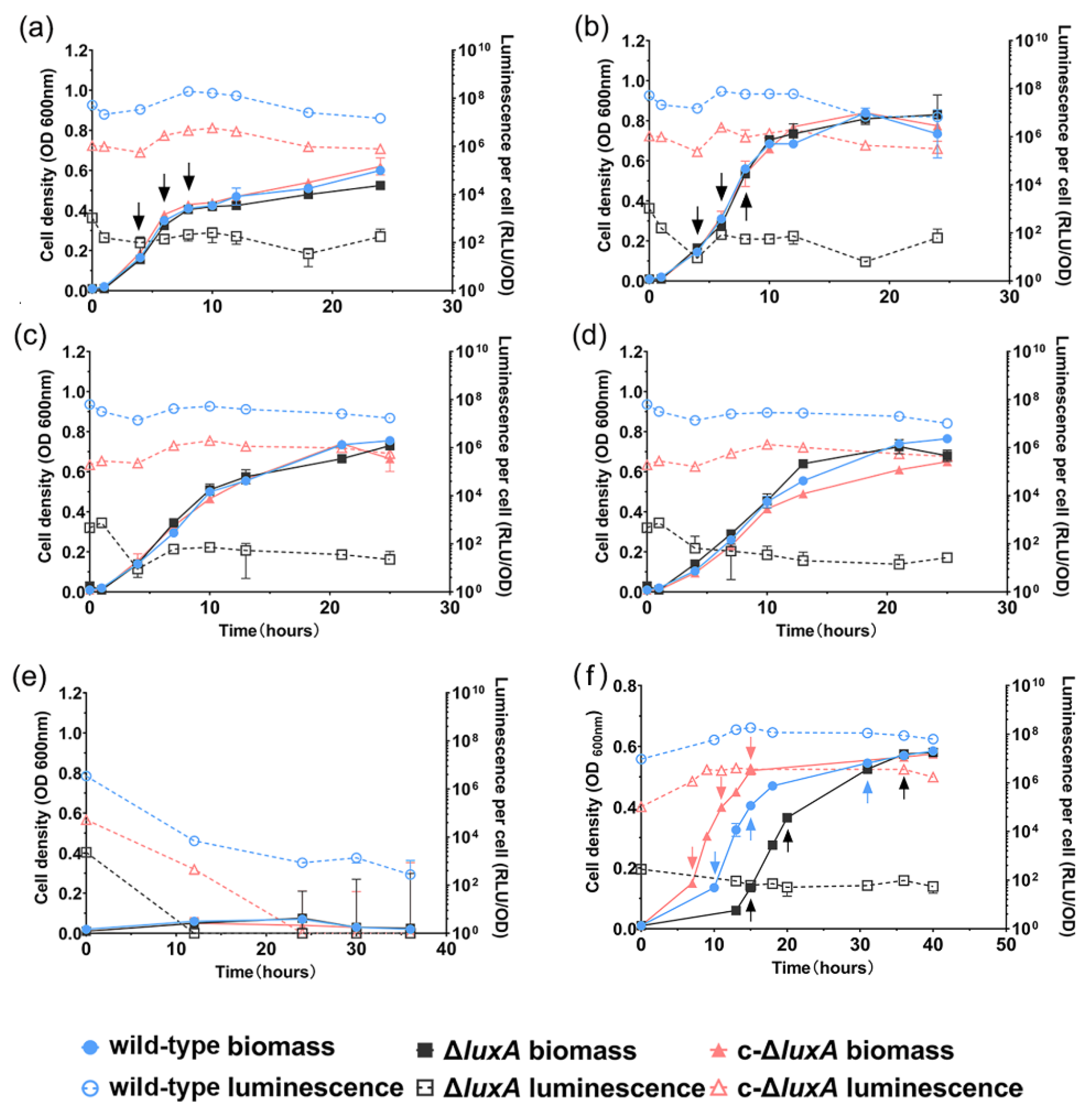 Microorganisms 11 01362 g001