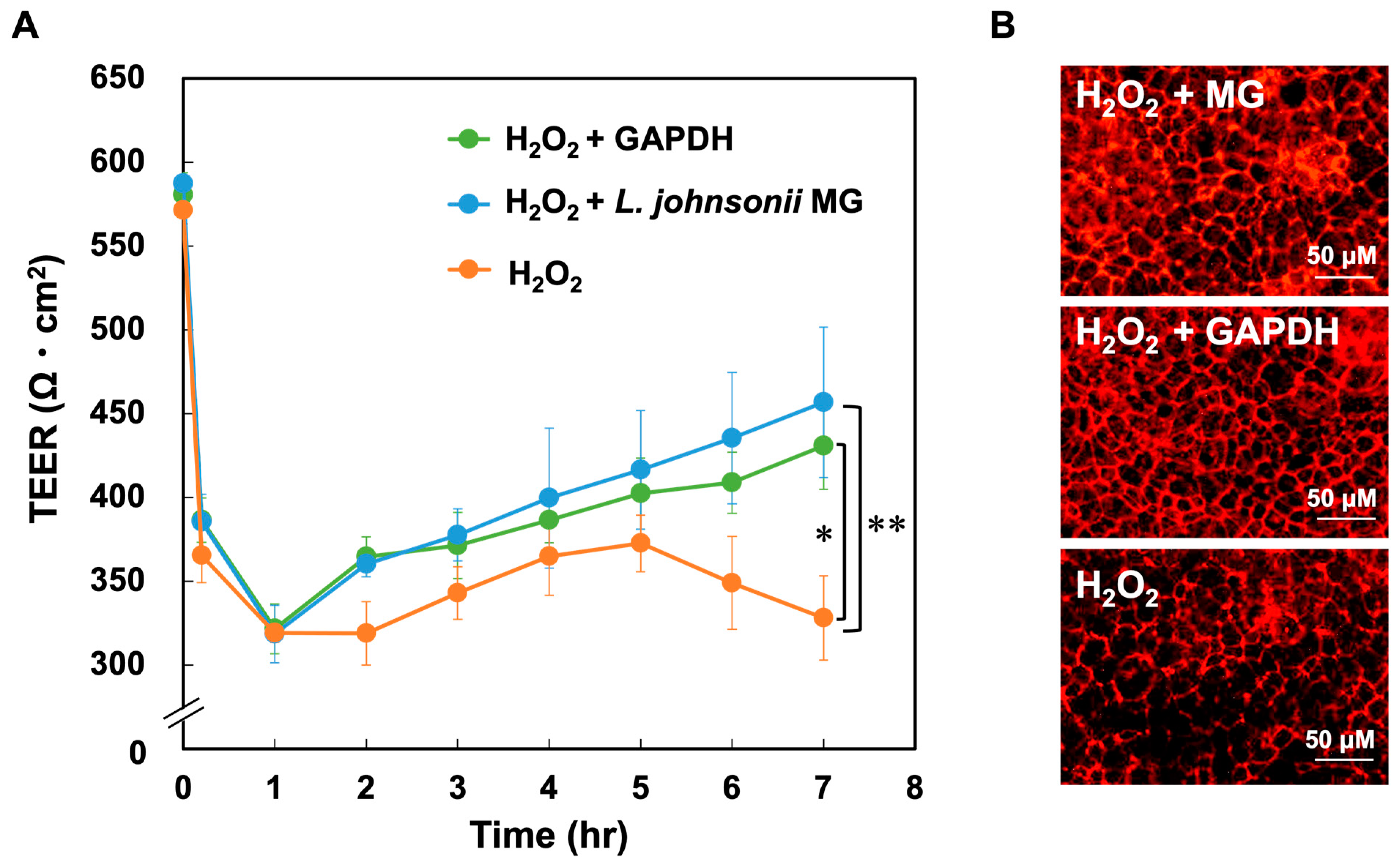 Microorganisms 11 01393 g004