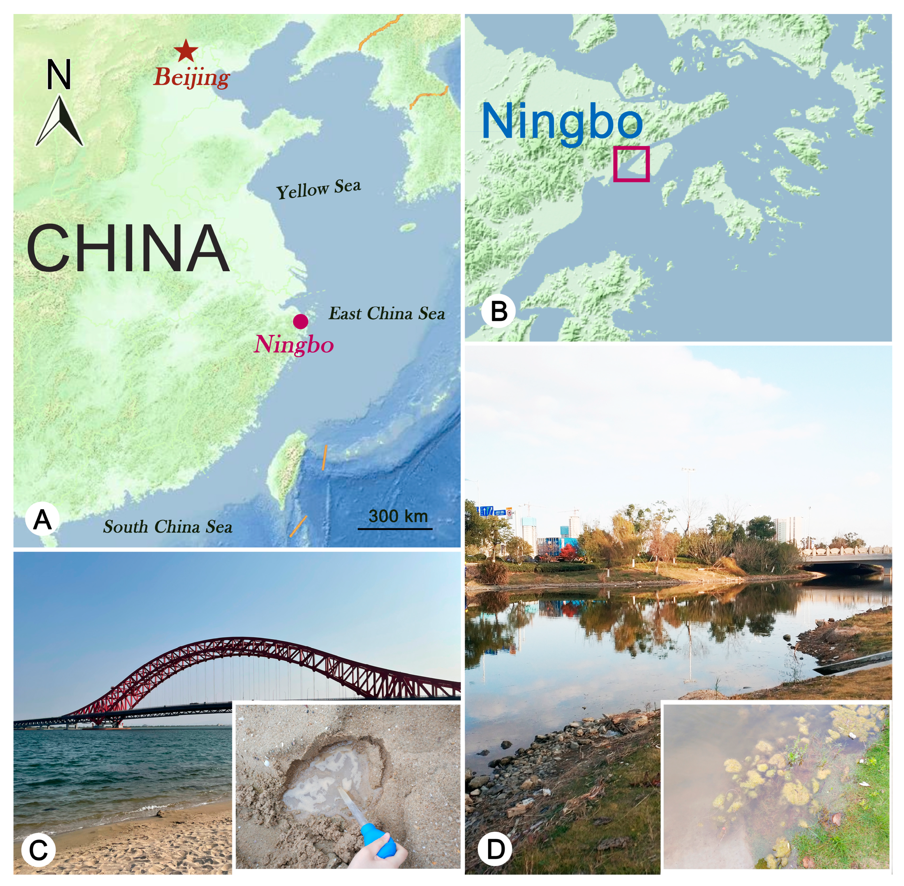 Microorganisms 11 01422 g001 Microorganisms 11 01422 g001