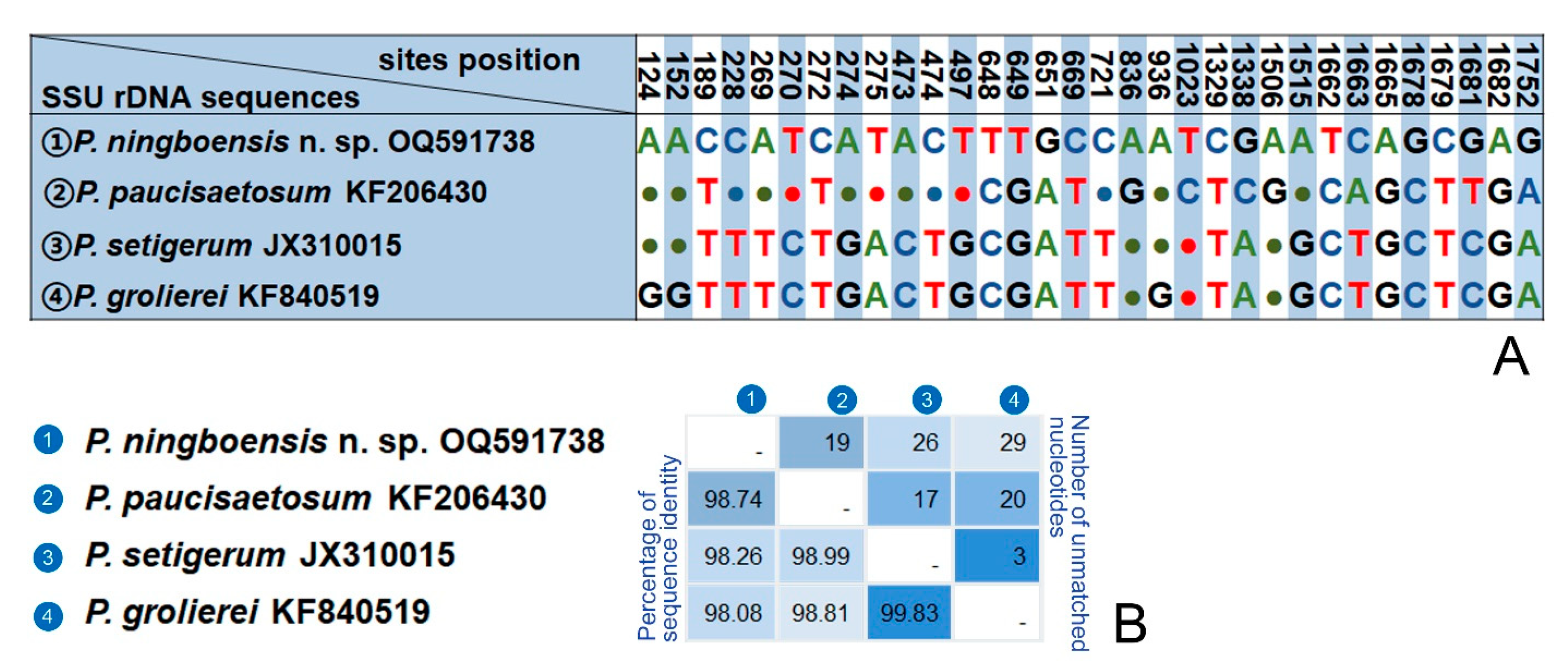 Microorganisms 11 01422 g007 Microorganisms 11 01422 g007