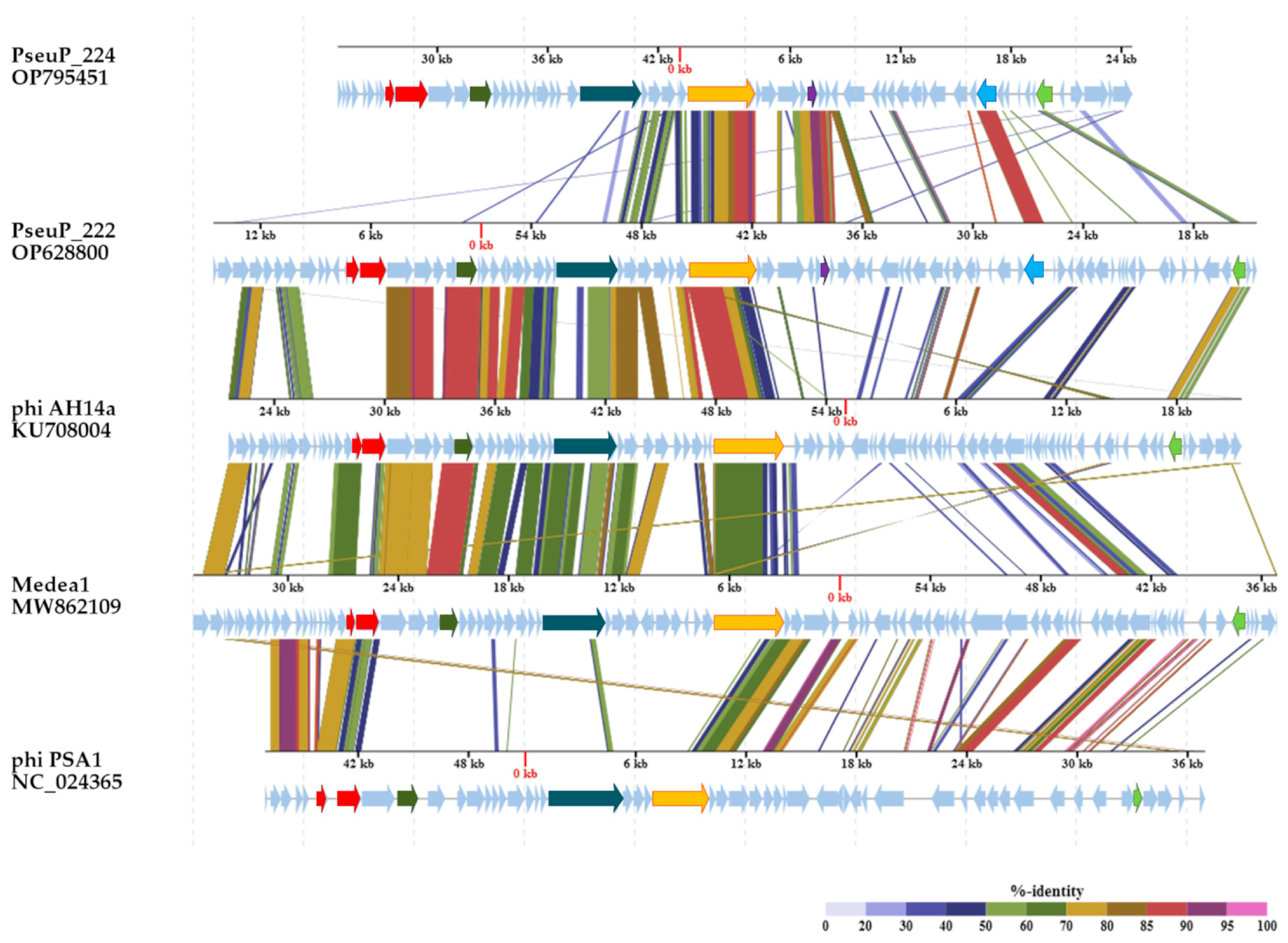 Microorganisms 11 01456 g003 Microorganisms 11 01456 g003