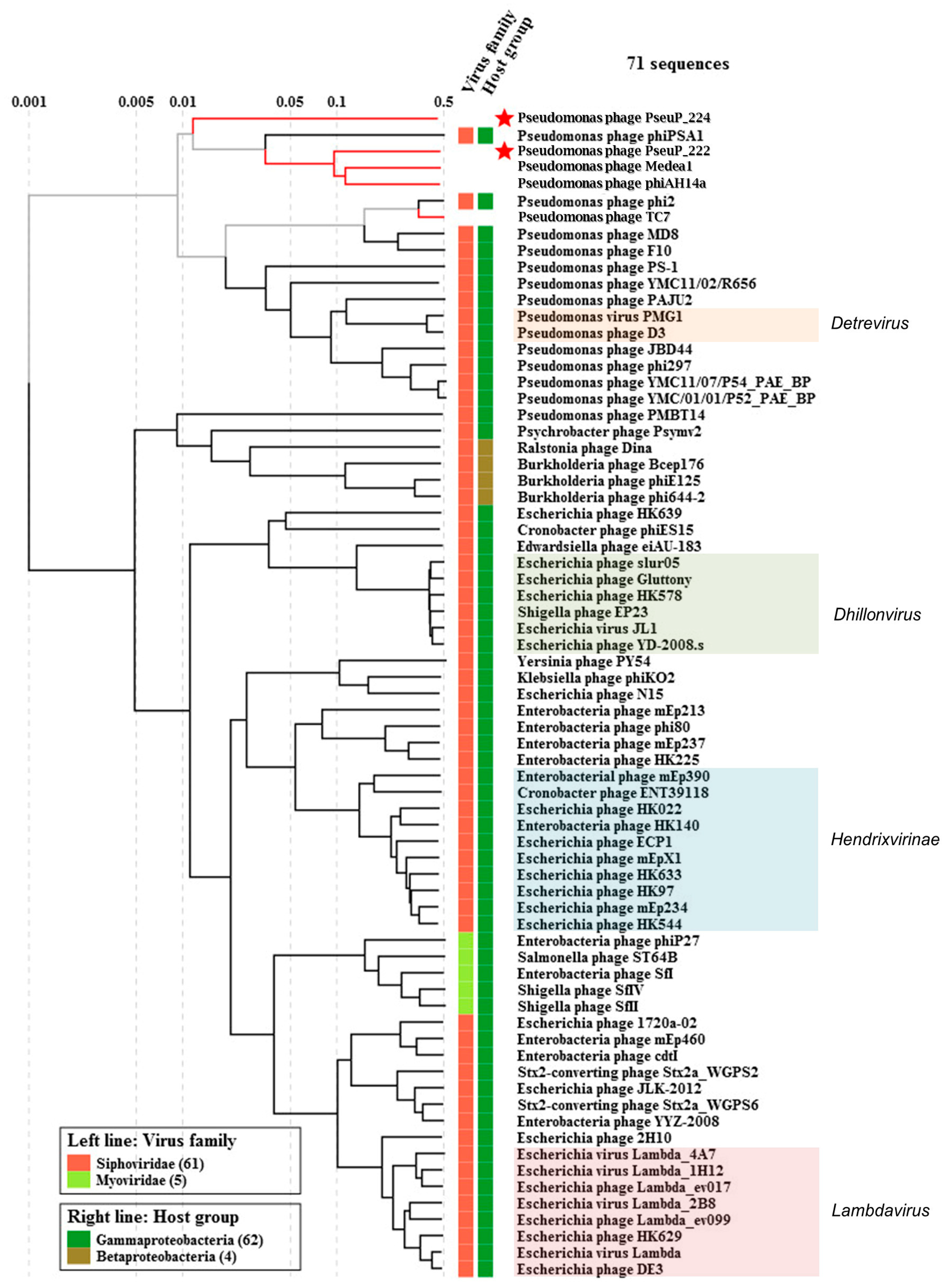 Microorganisms 11 01456 g004 Microorganisms 11 01456 g004
