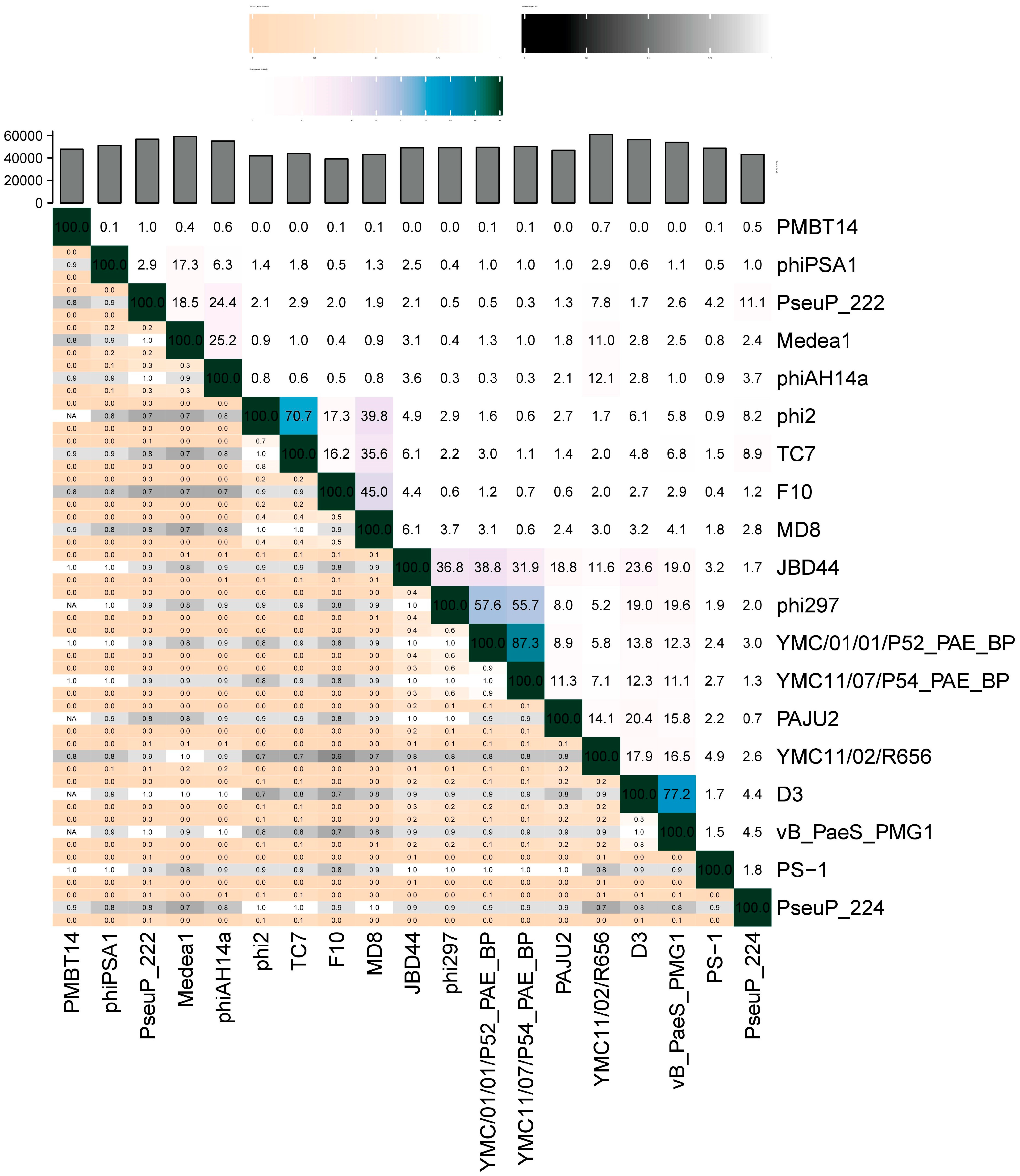 Microorganisms 11 01456 g005 Microorganisms 11 01456 g005