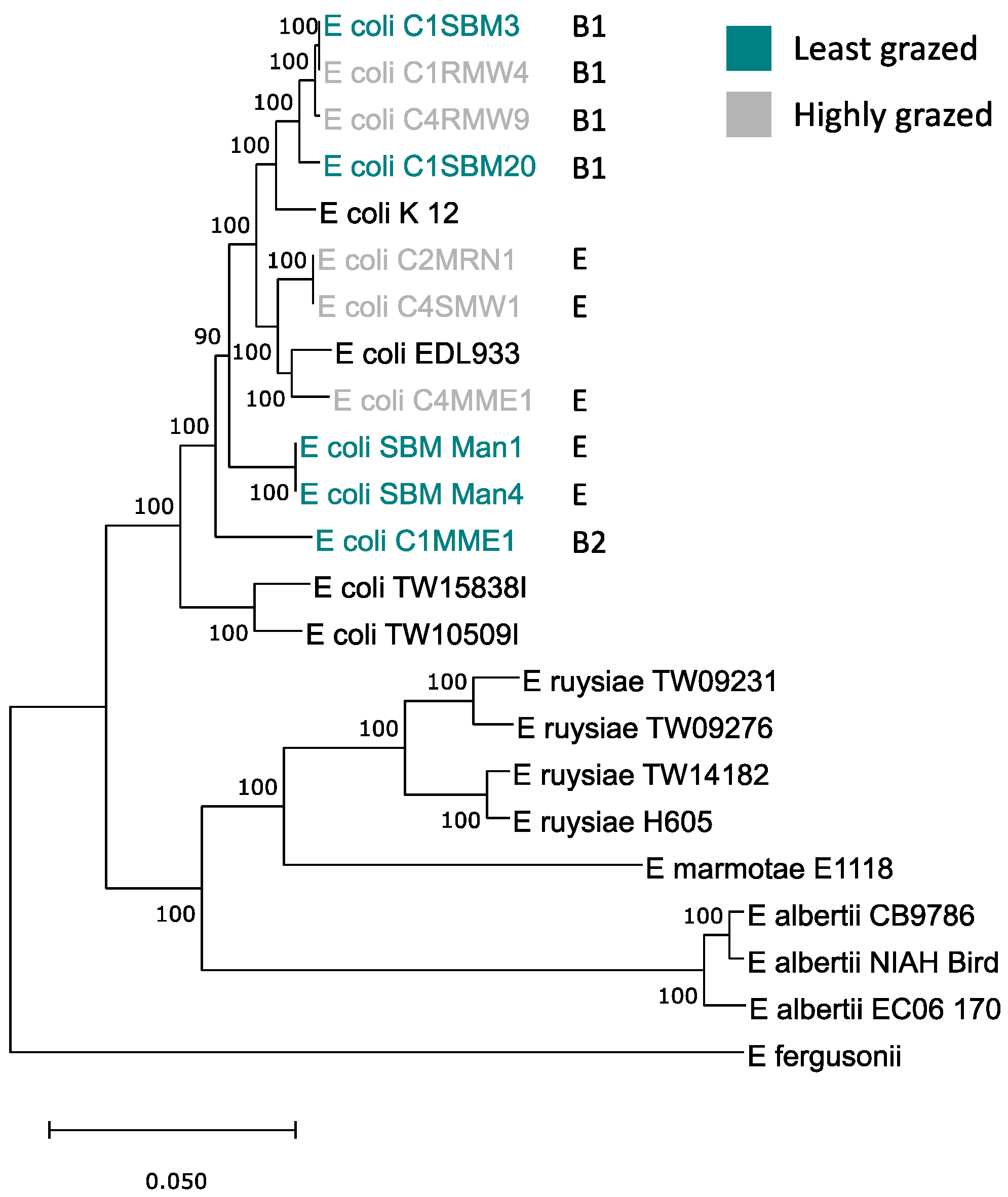 Microorganisms 11 01457 g004 Microorganisms 11 01457 g004