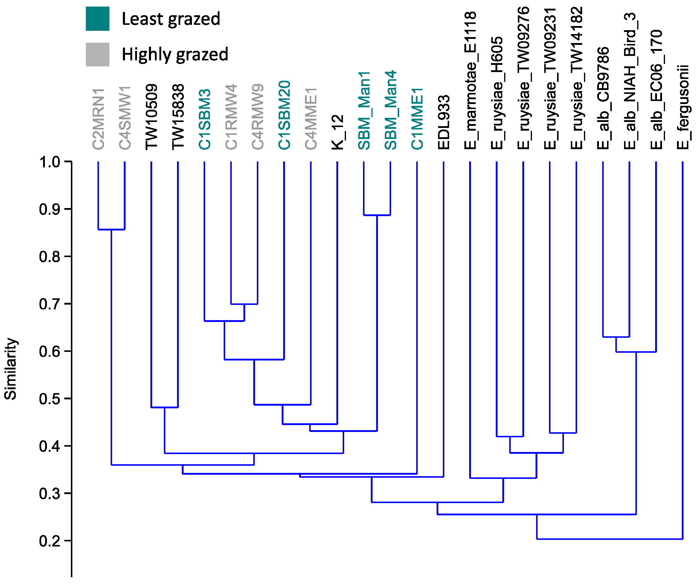 Microorganisms 11 01457 g005 Microorganisms 11 01457 g005