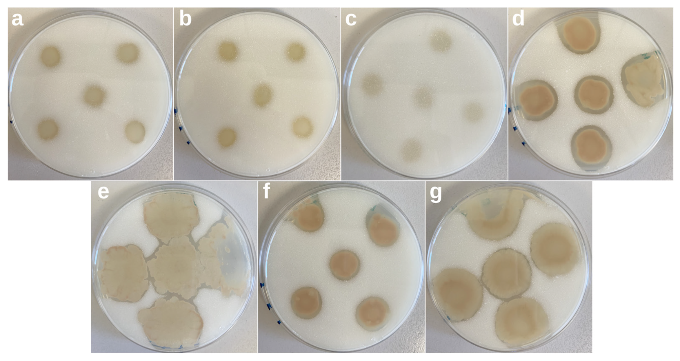 Microorganisms 11 01461 g008 Microorganisms 11 01461 g008