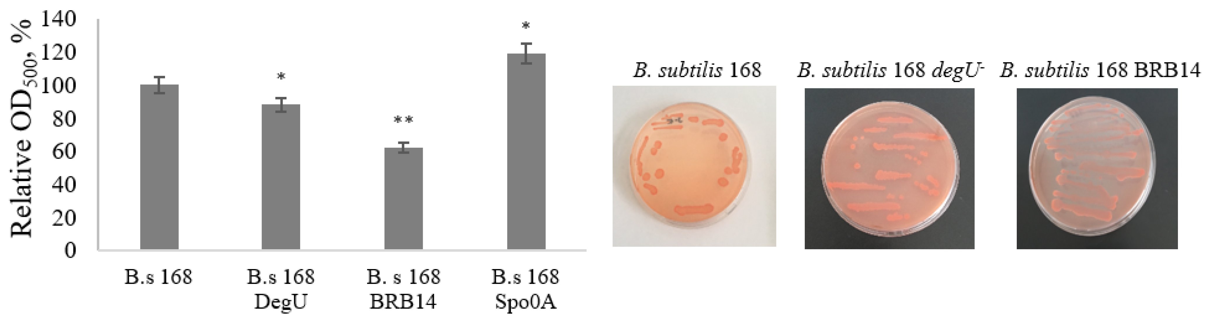 Microorganisms 11 01486 g011 Microorganisms 11 01486 g011