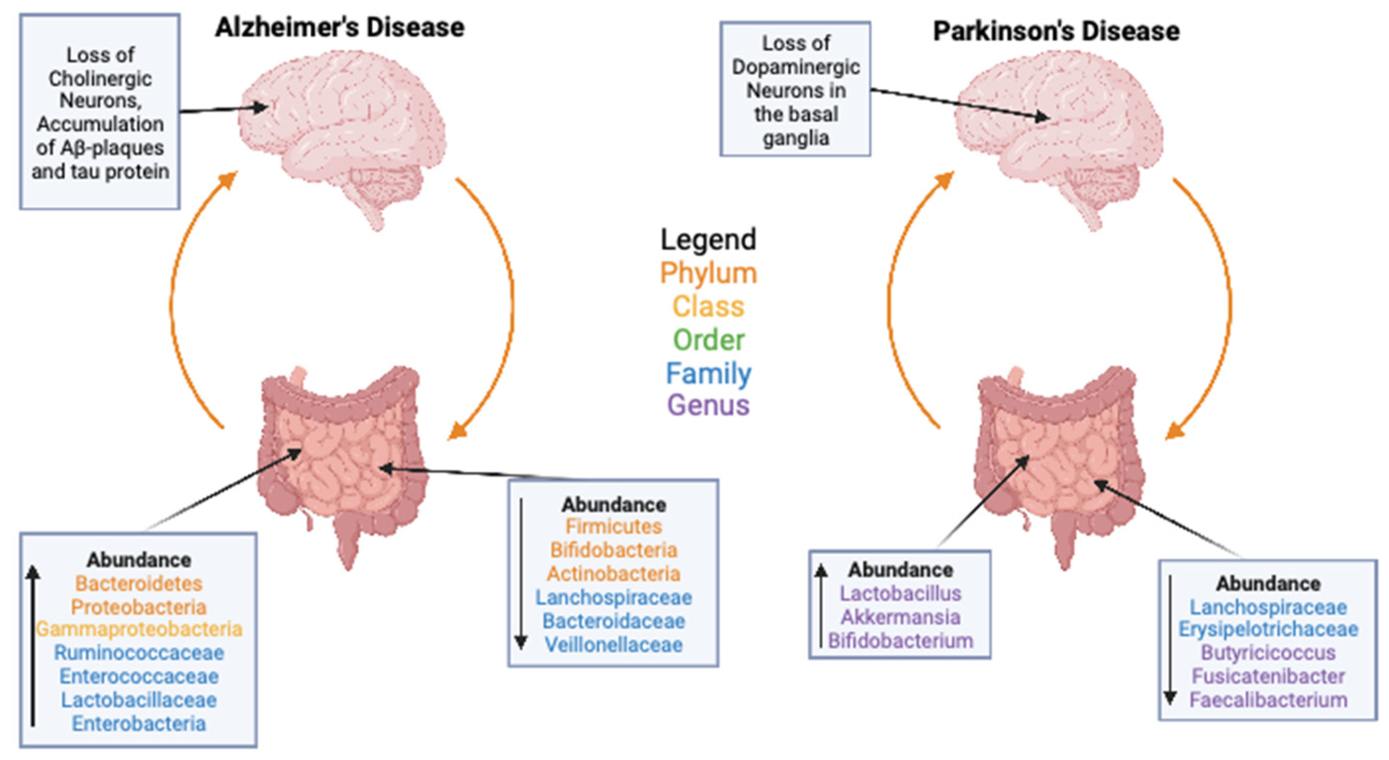 Microorganisms 11 01488 g003 Microorganisms 11 01488 g003