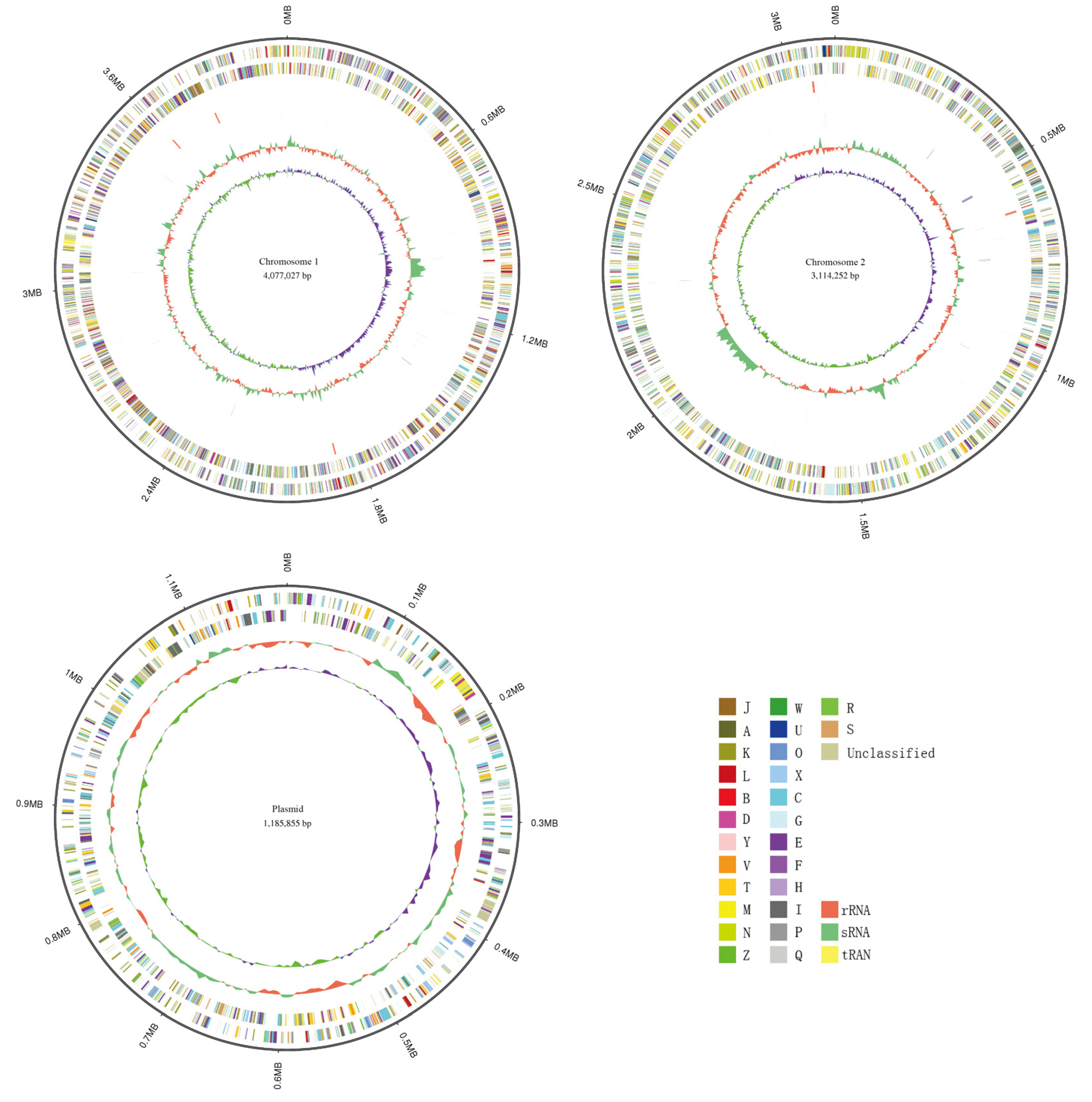Microorganisms 11 01518 g001