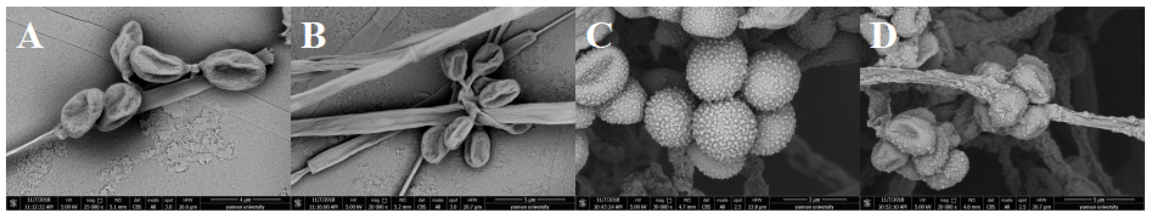 Microorganisms 11 01535 g004