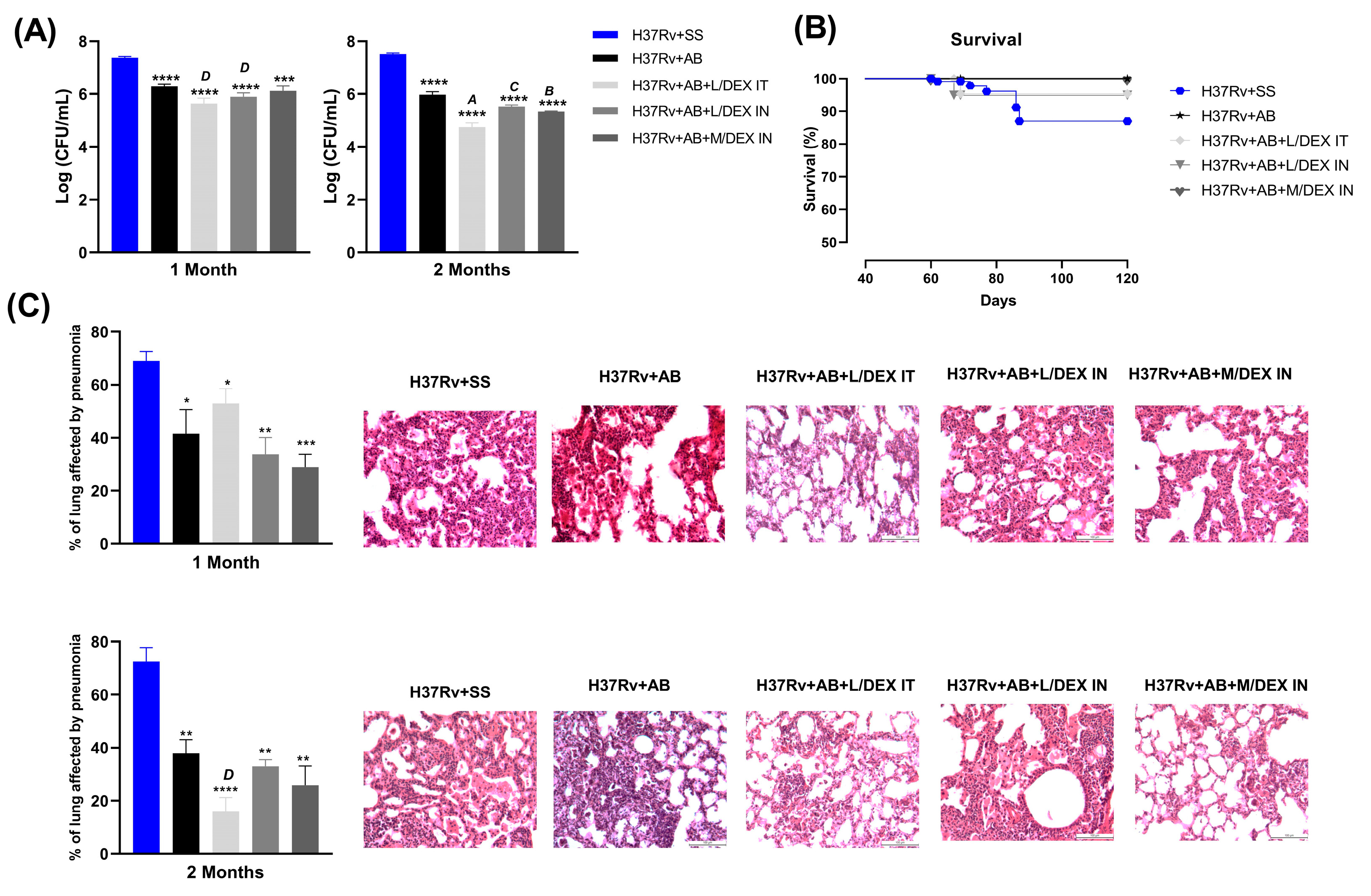 Microorganisms 11 01554 g002 Microorganisms 11 01554 g002