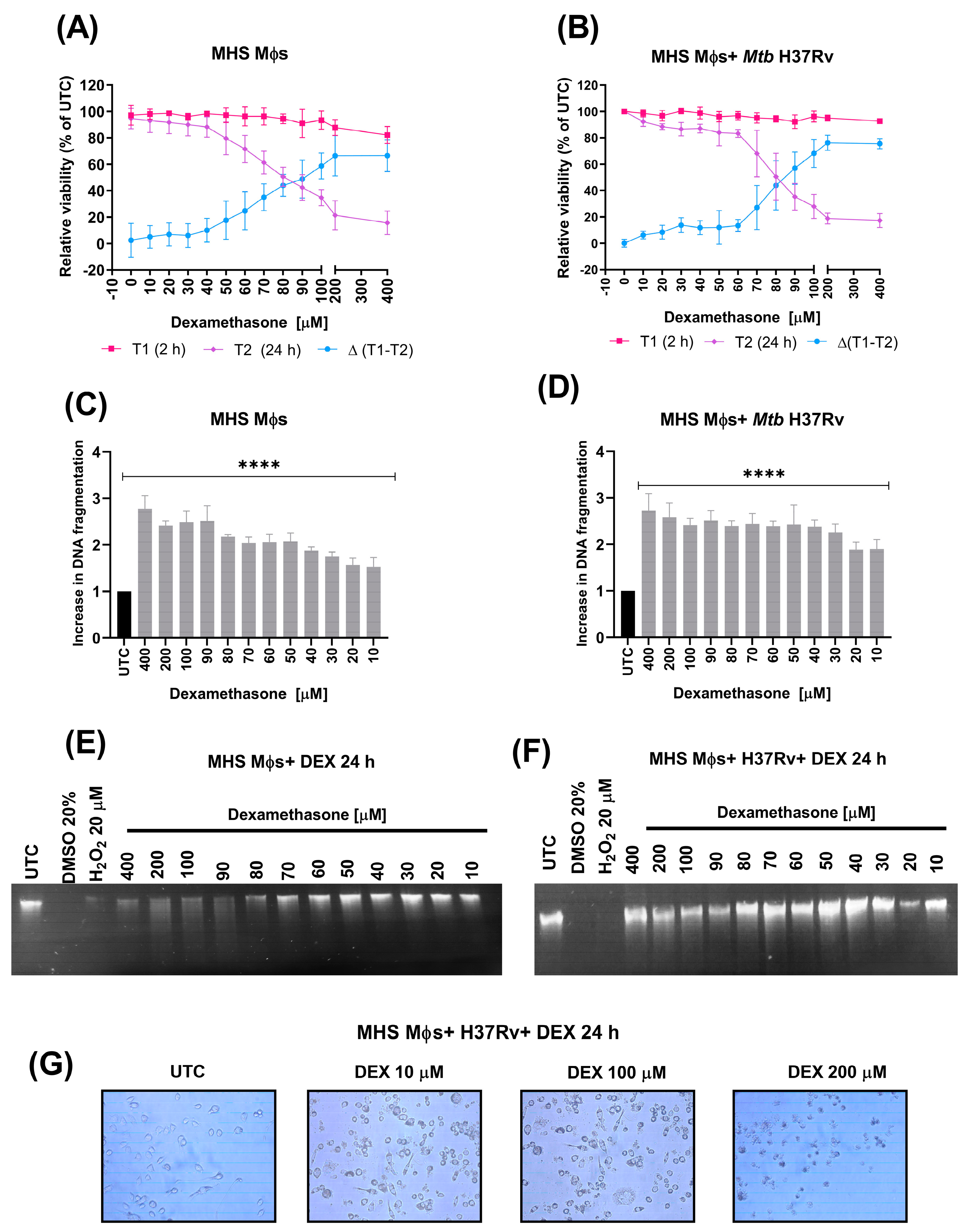Microorganisms 11 01554 g008 Microorganisms 11 01554 g008