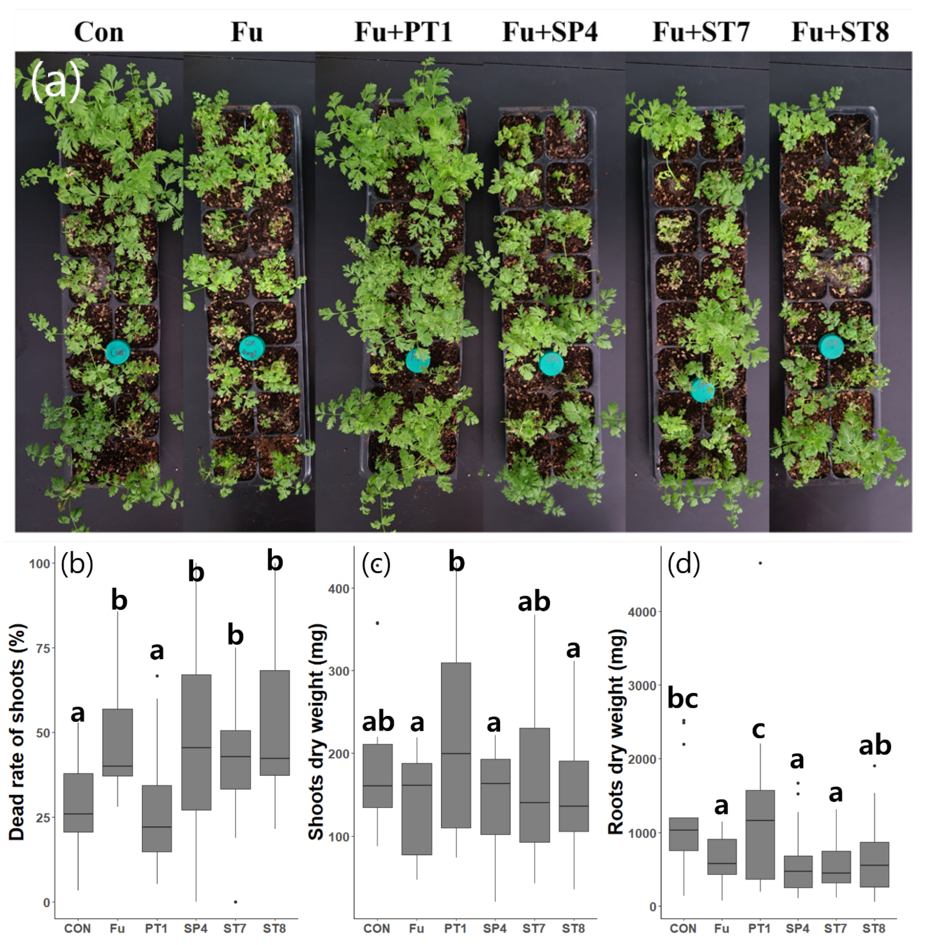 Microorganisms 11 01555 g003