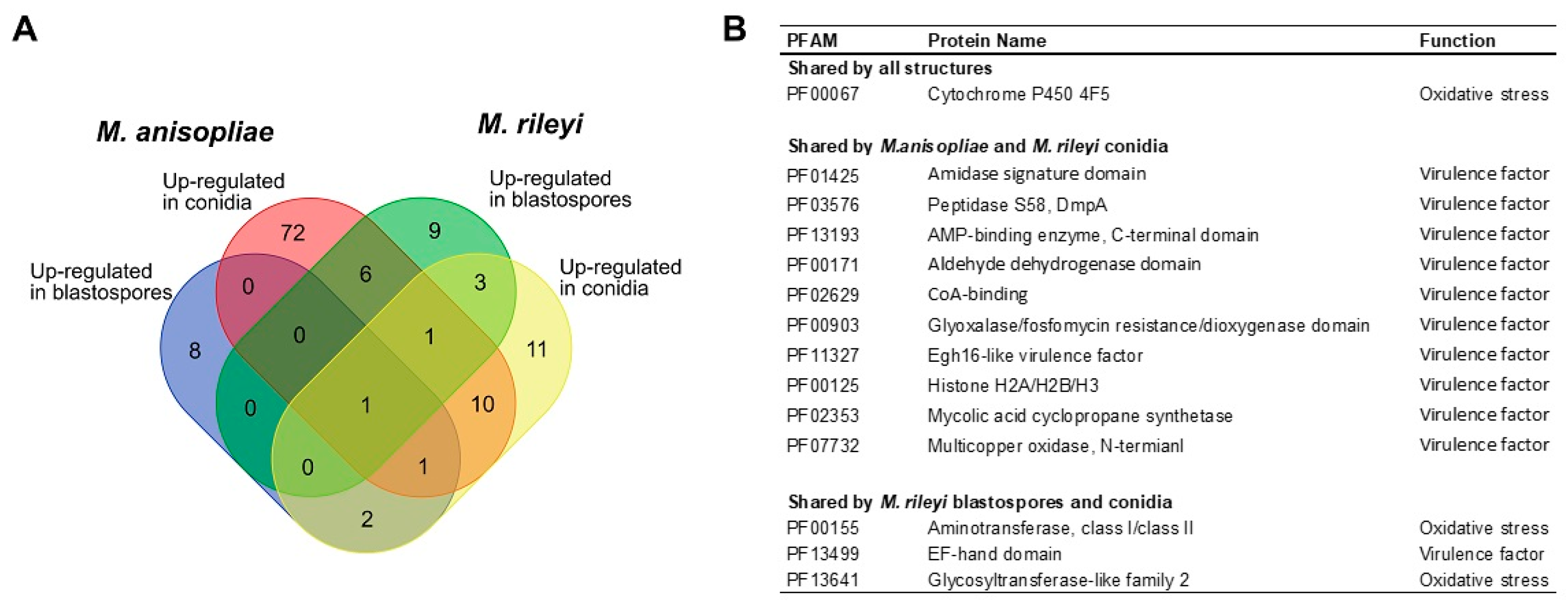 Microorganisms 11 01594 g006