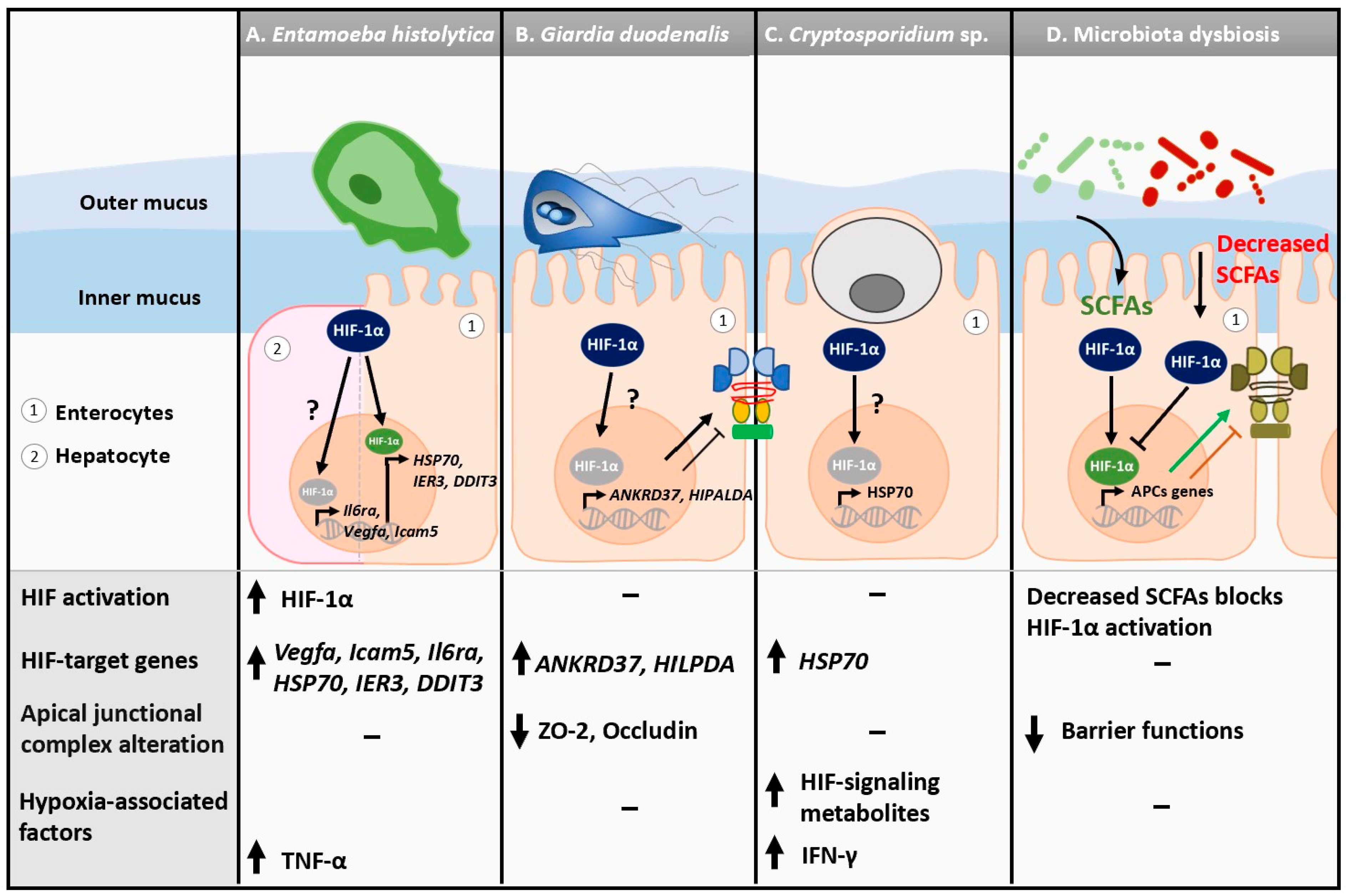 Microorganisms 11 01598 g001