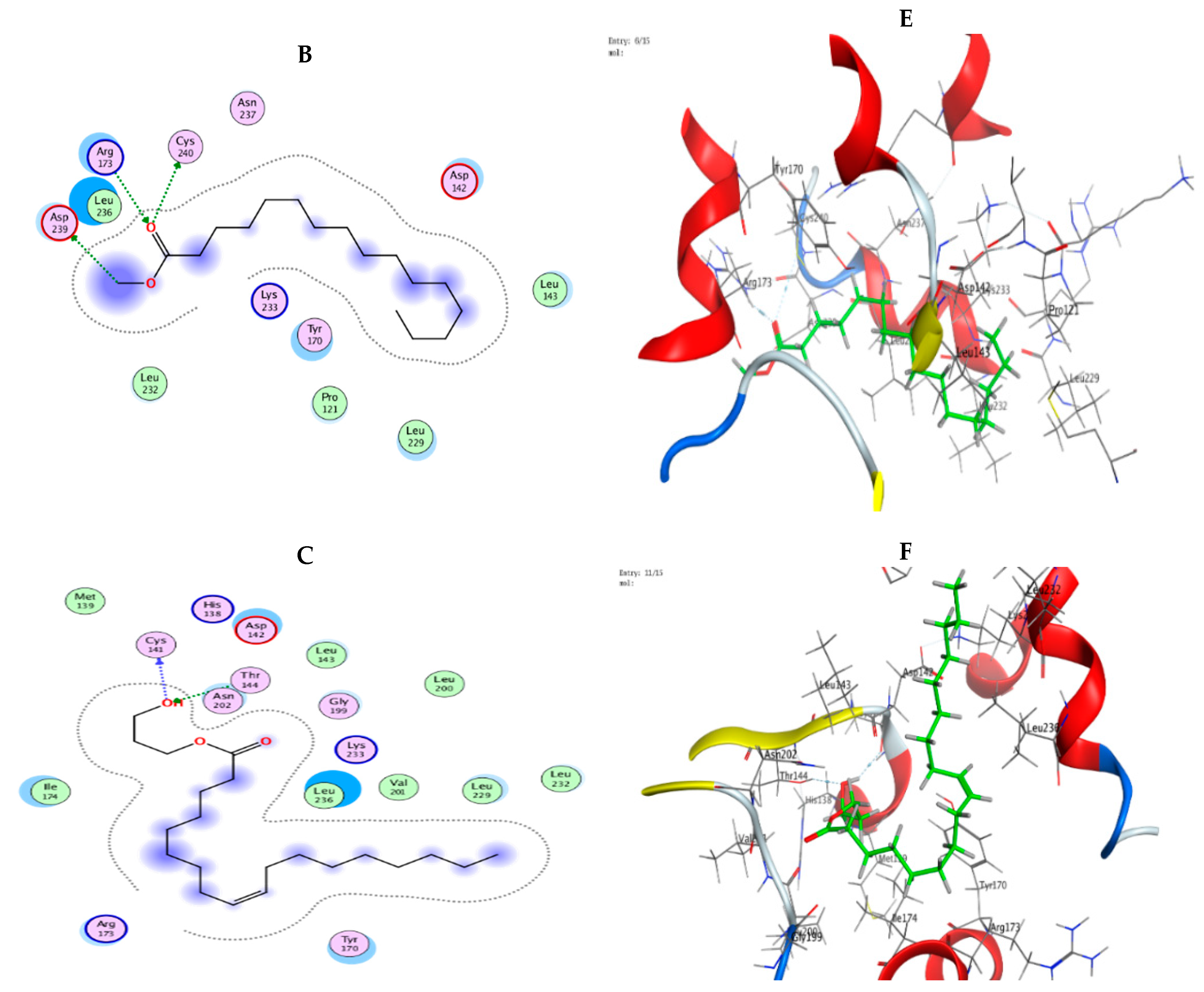 Microorganisms 11 01601 g006b