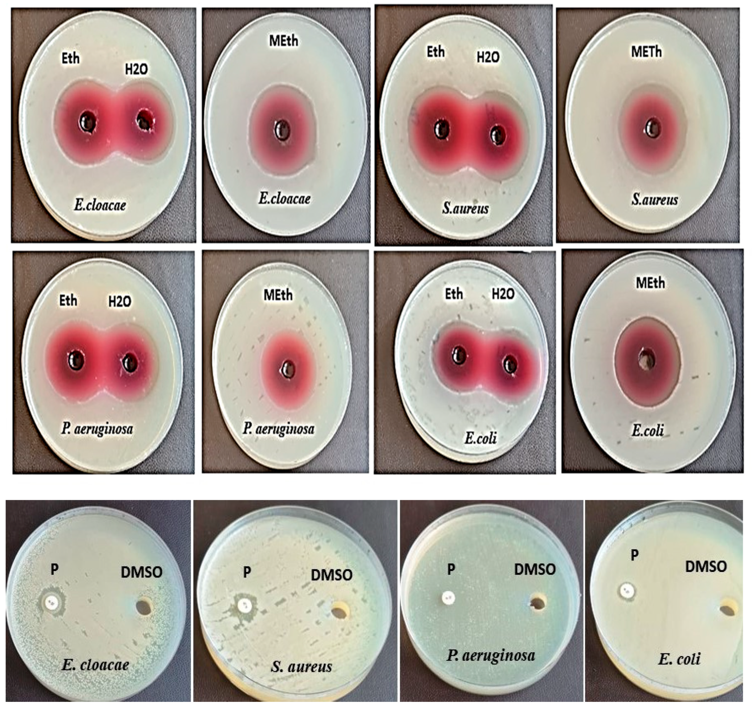 Microorganisms 11 01601 sch001