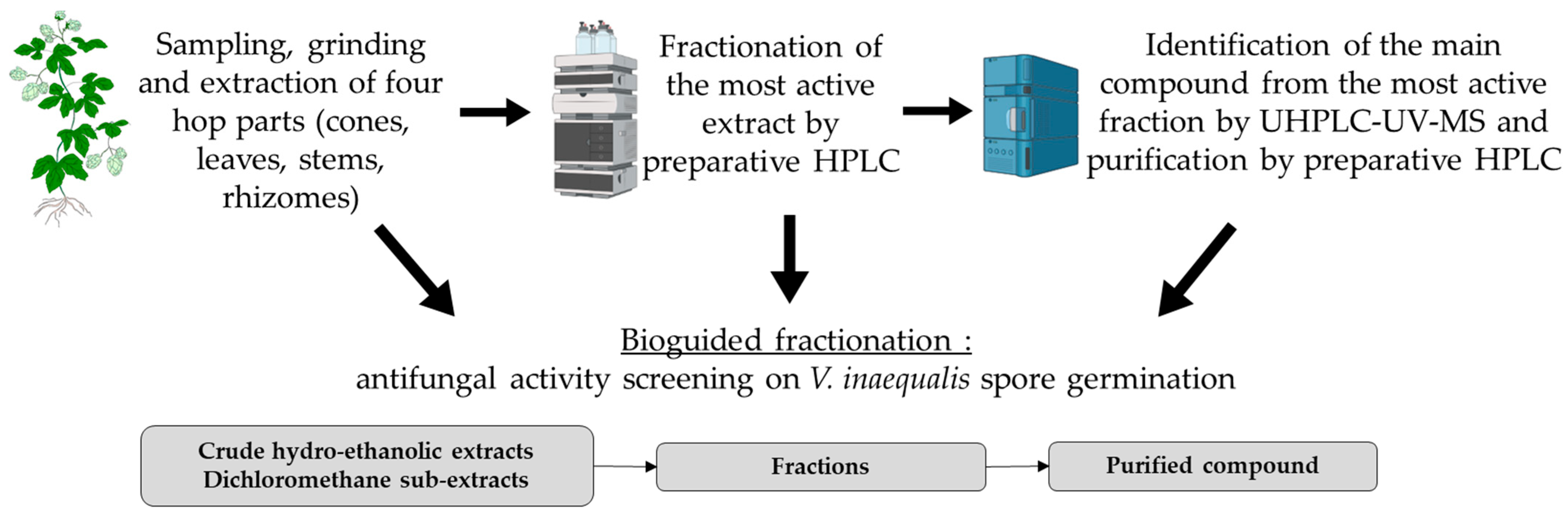 Microorganisms 11 01605 g001