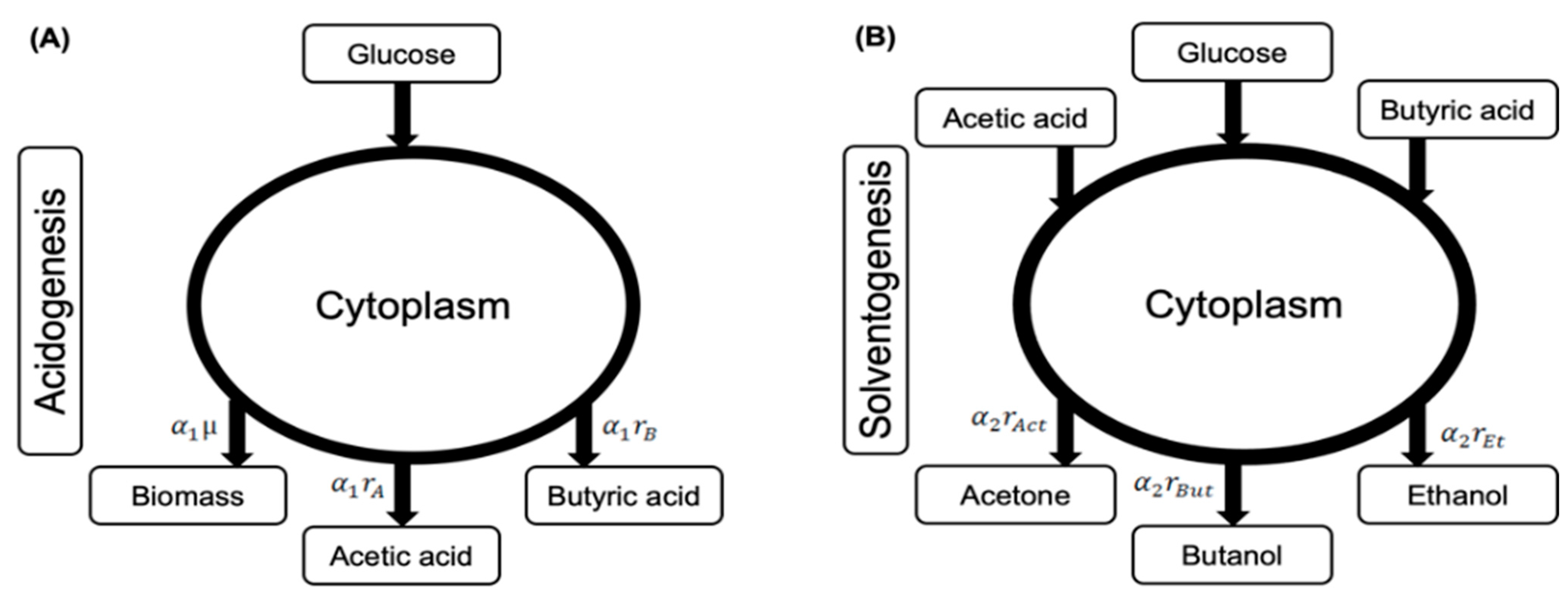 Microorganisms 11 01610 g001 Microorganisms 11 01610 g001
