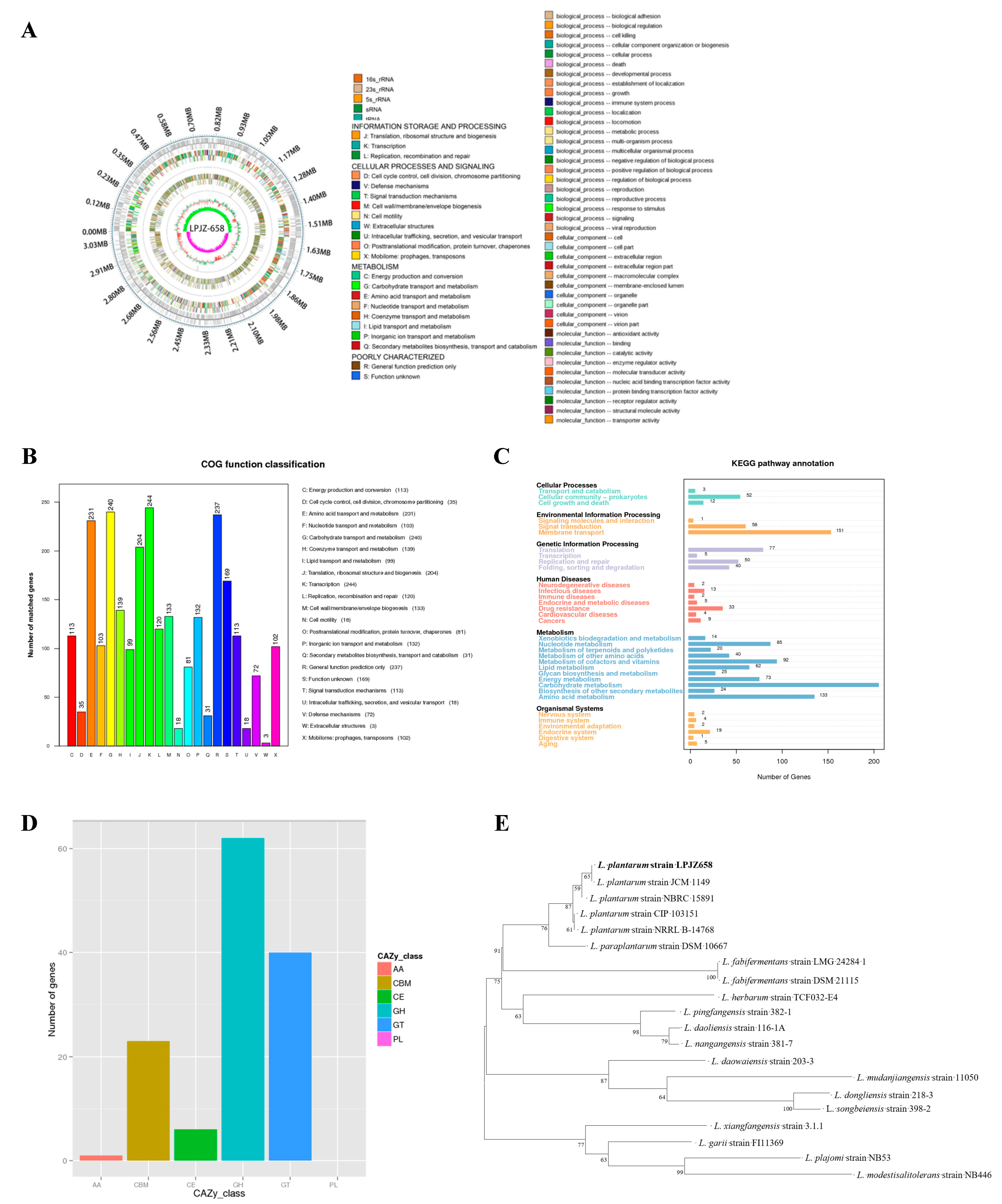Microorganisms 11 01620 g001