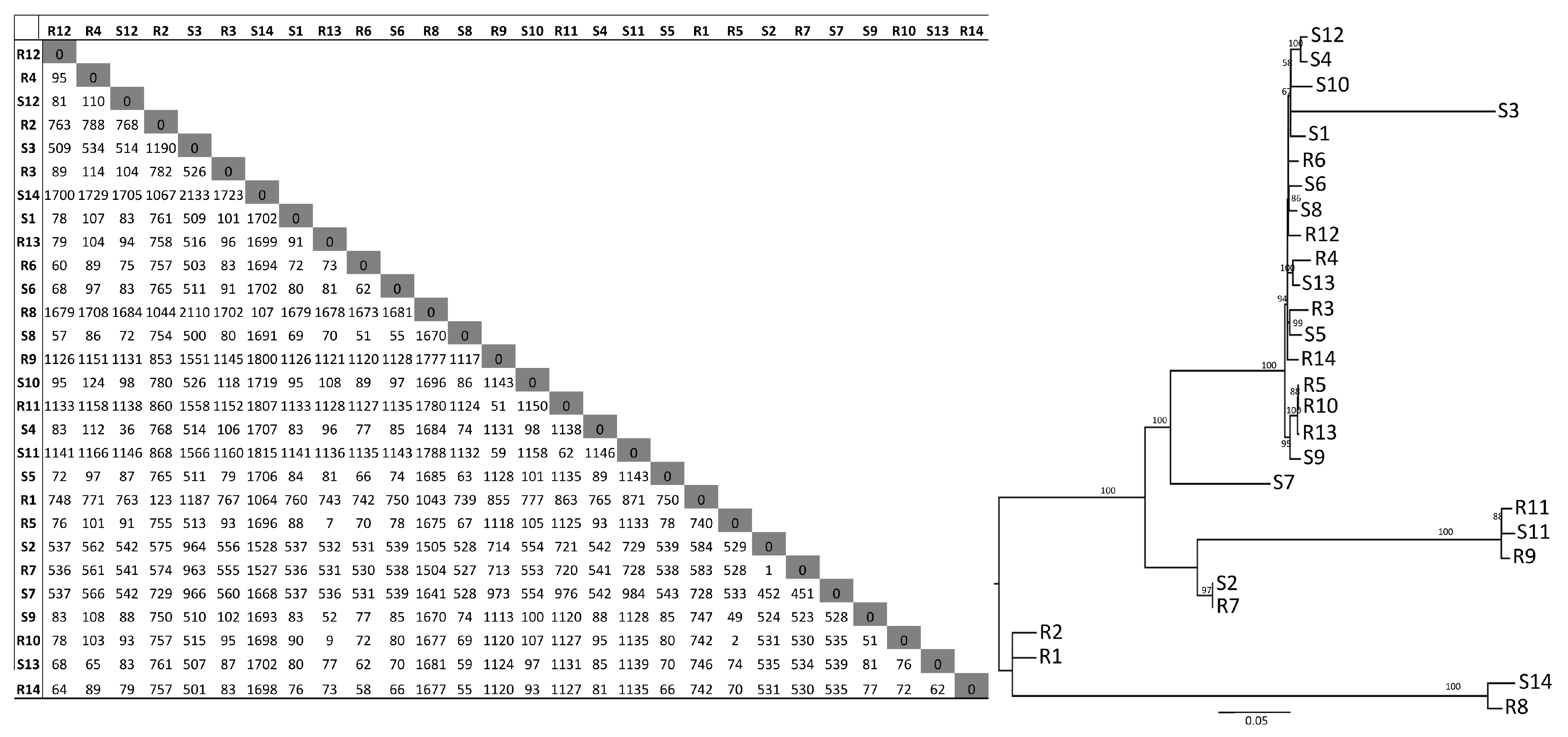 Microorganisms 11 01622 g003