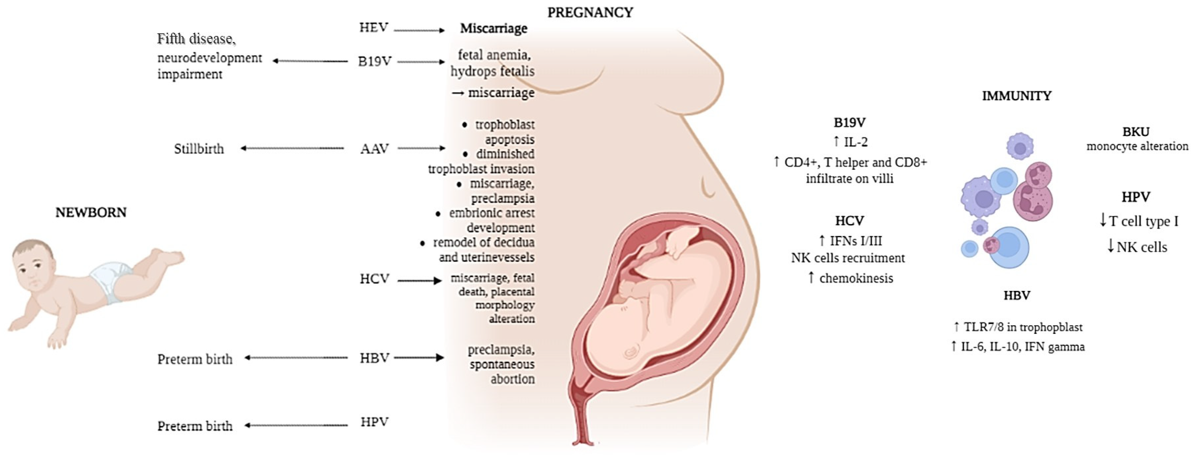 Microorganisms 11 01637 g001 Microorganisms 11 01637 g001
