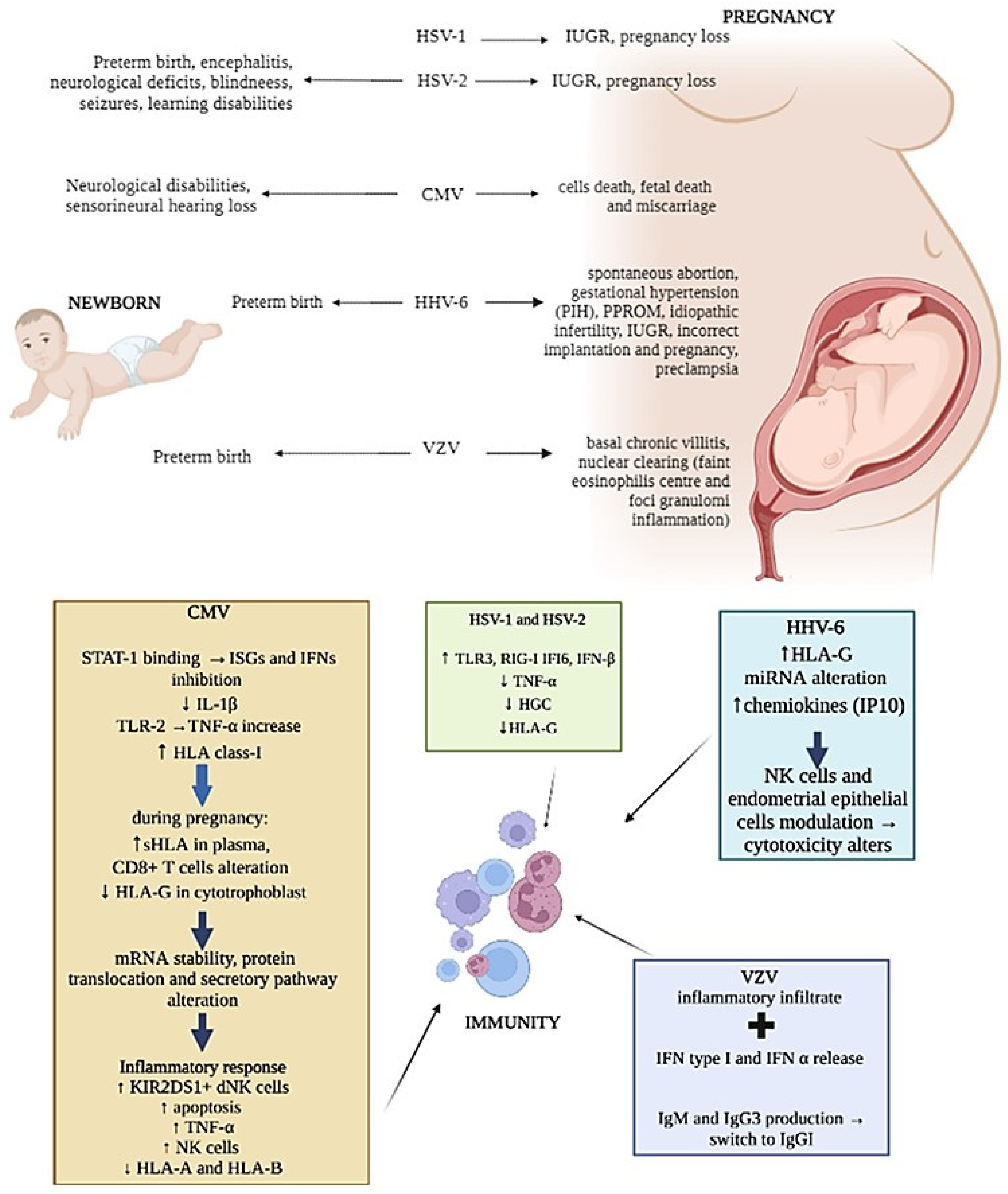 Microorganisms 11 01637 g002 Microorganisms 11 01637 g002