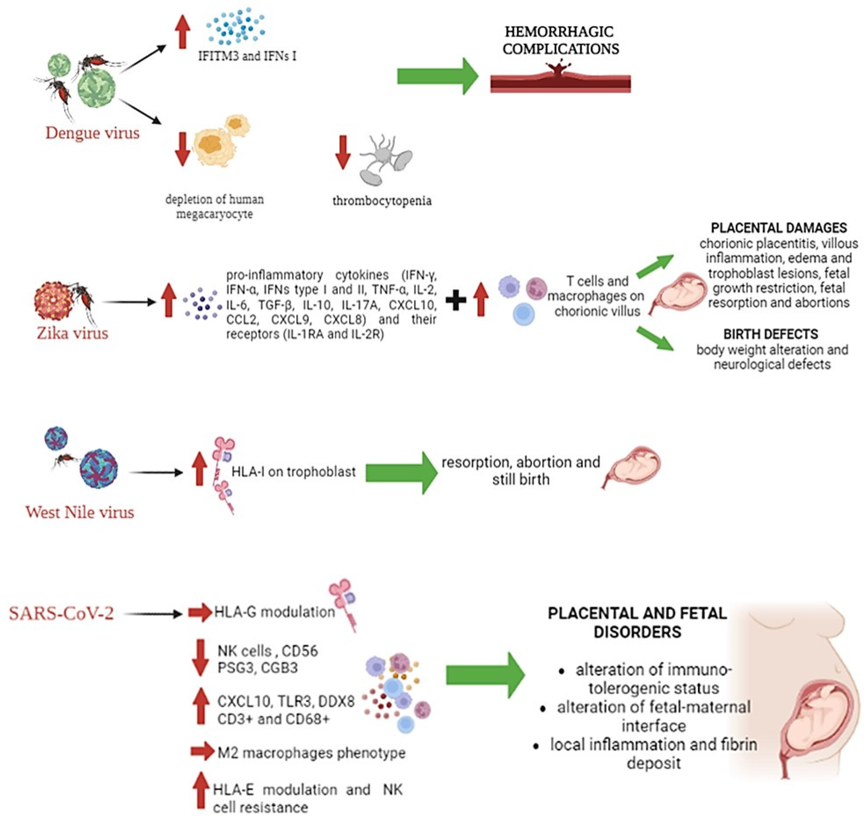 Microorganisms 11 01637 g004 Microorganisms 11 01637 g004