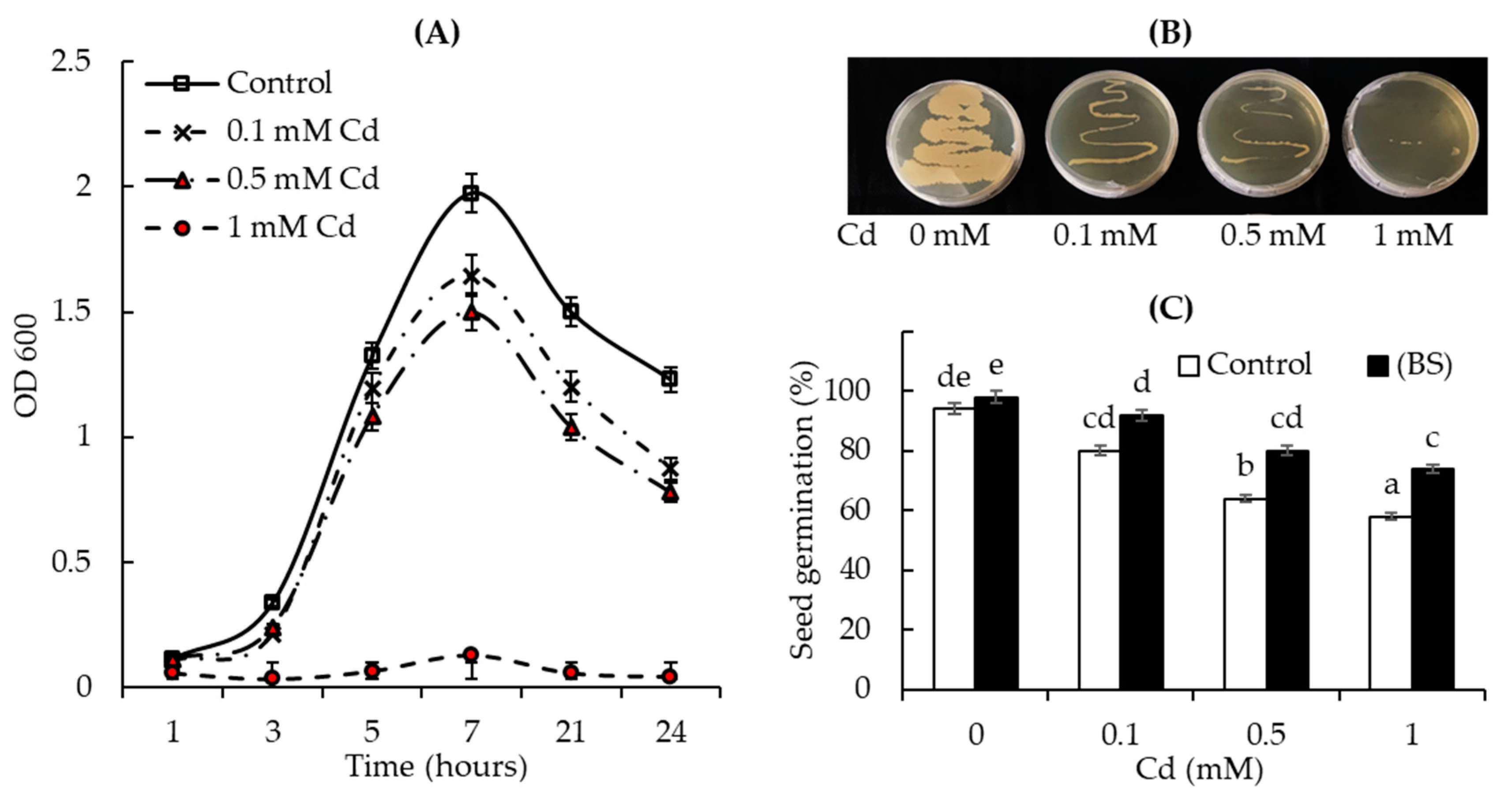 Microorganisms | Free Full-Text | Endophytic Plant Growth