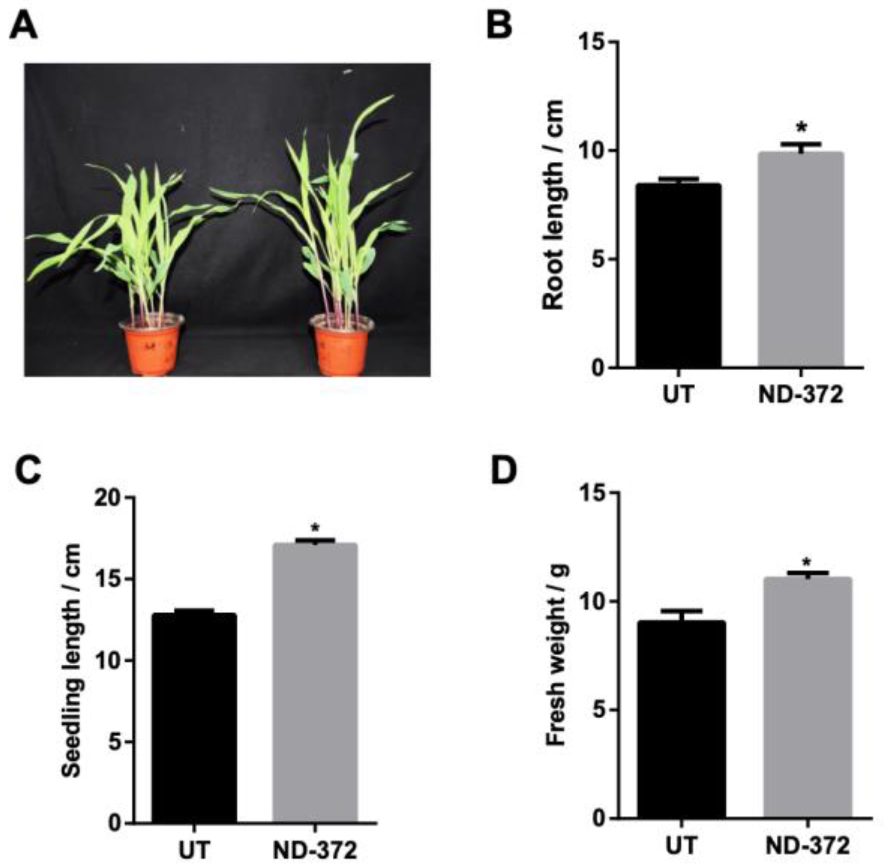 Microorganisms 11 01654 g001