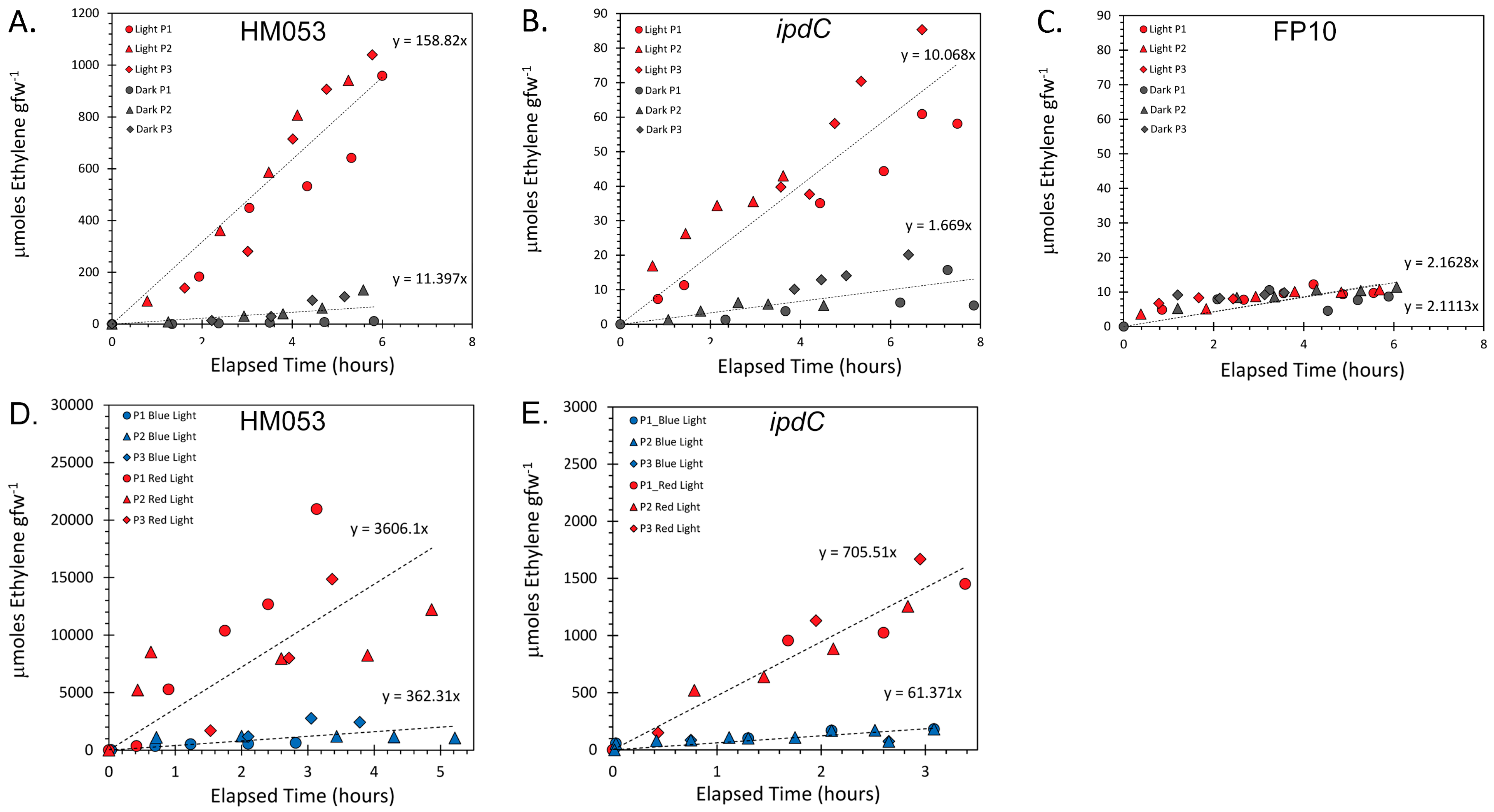 Microorganisms 11 01727 g001 Microorganisms 11 01727 g001