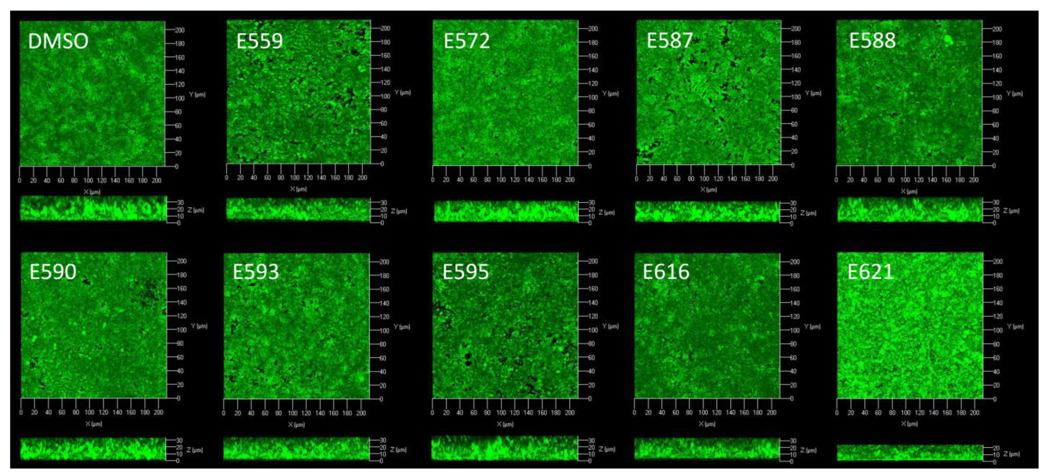 Microorganisms 11 01762 g004 Microorganisms 11 01762 g004