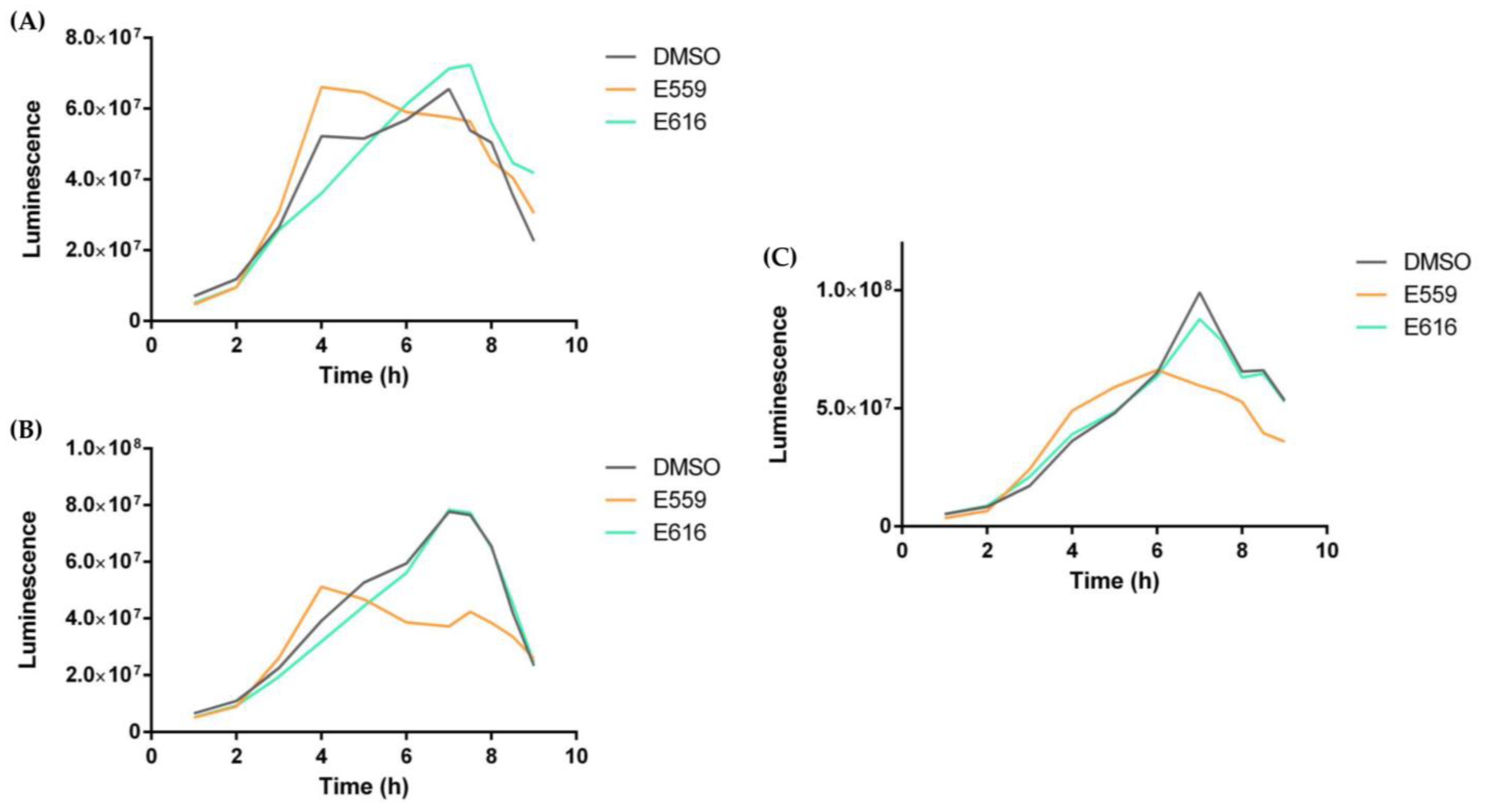 Microorganisms 11 01762 g006 Microorganisms 11 01762 g006