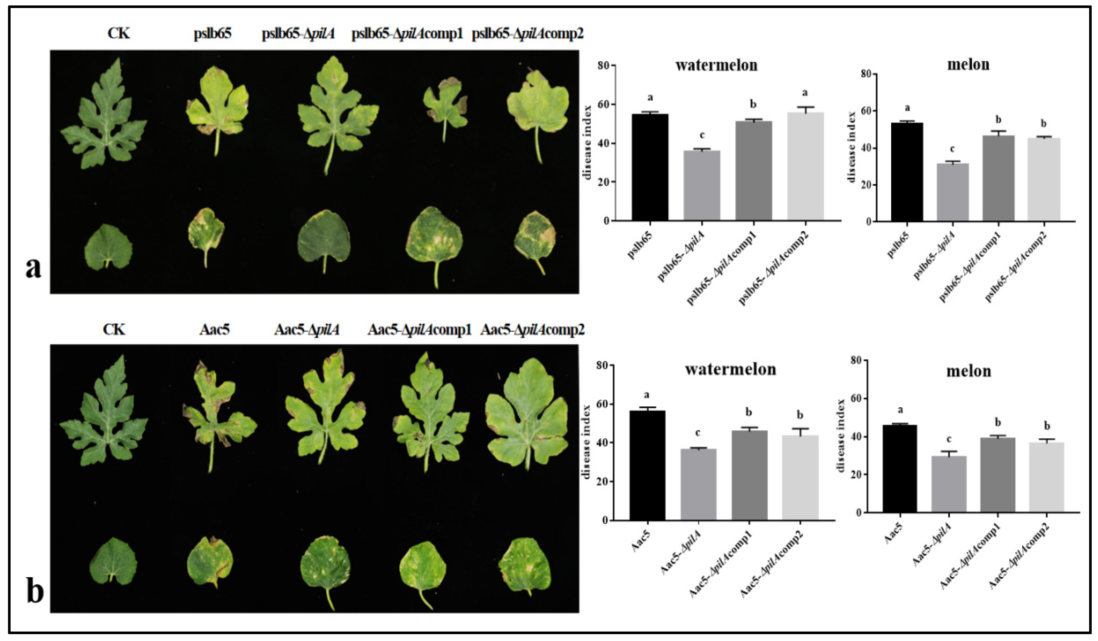 Microorganisms 11 01806 g002 Microorganisms 11 01806 g002