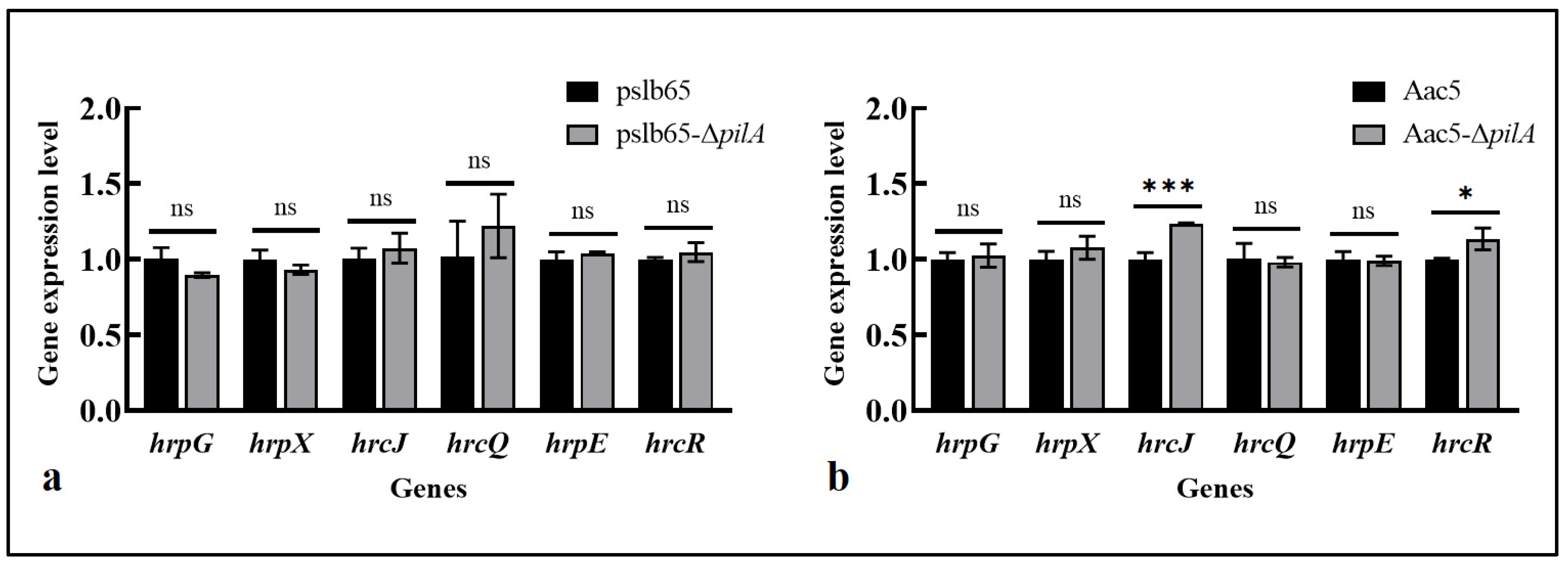 Microorganisms 11 01806 g007 Microorganisms 11 01806 g007