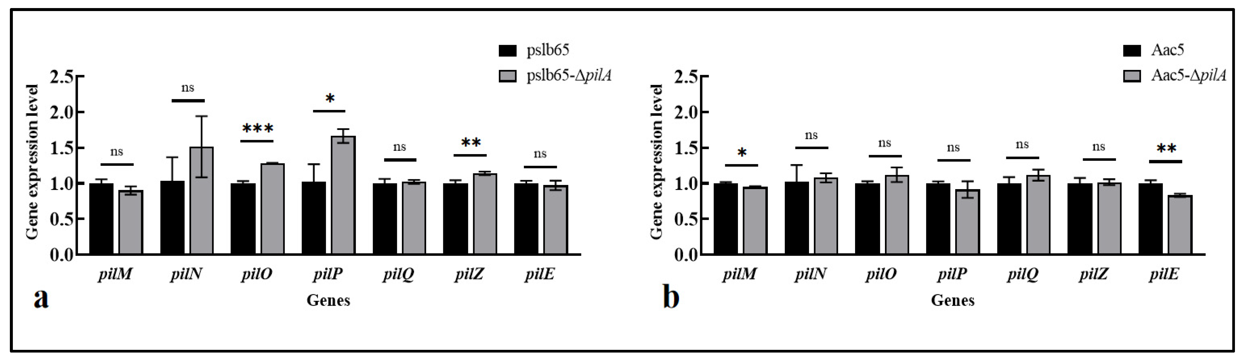 Microorganisms 11 01806 g008 Microorganisms 11 01806 g008