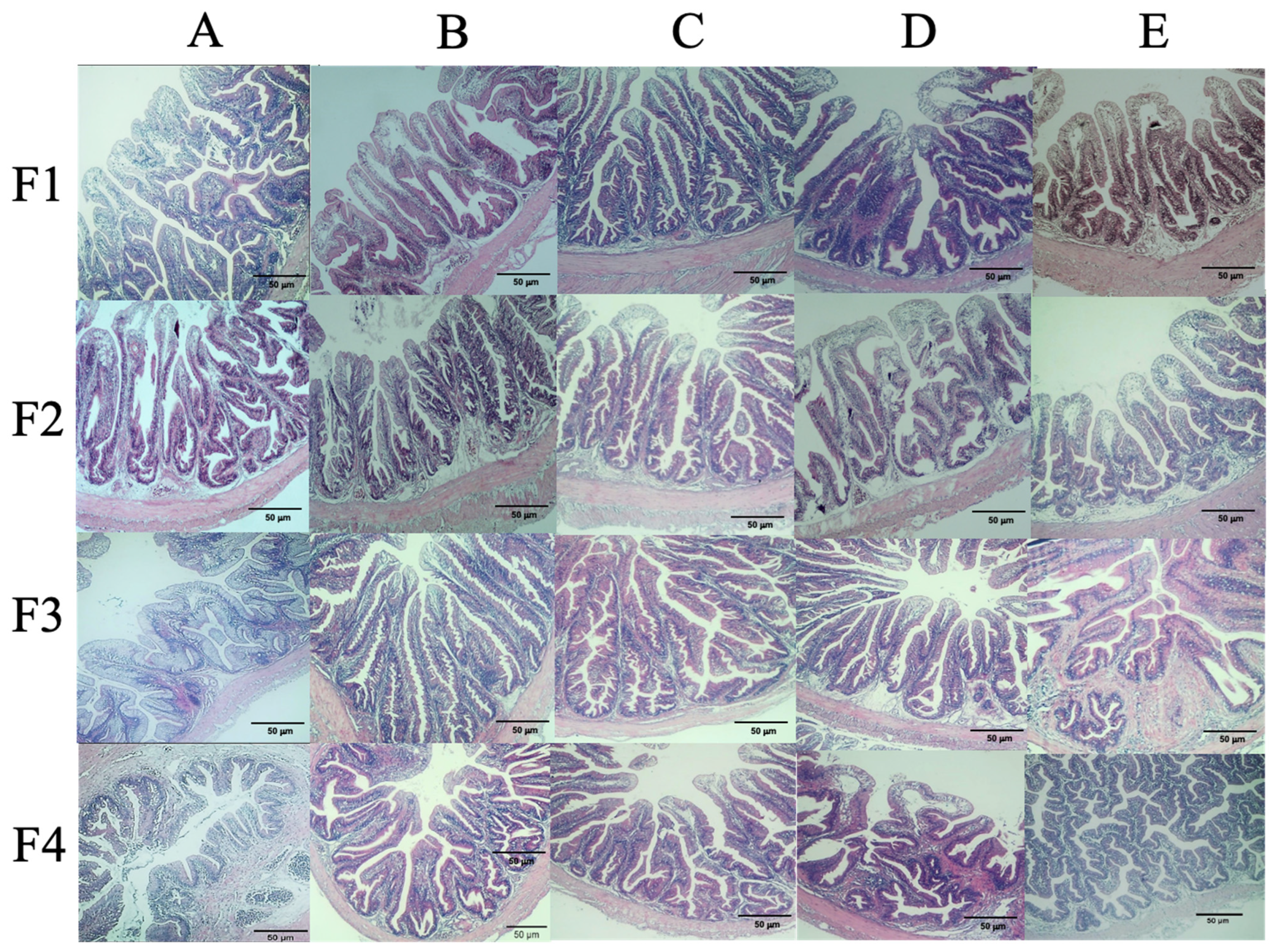 Microorganisms 11 01807 g004 Microorganisms 11 01807 g004