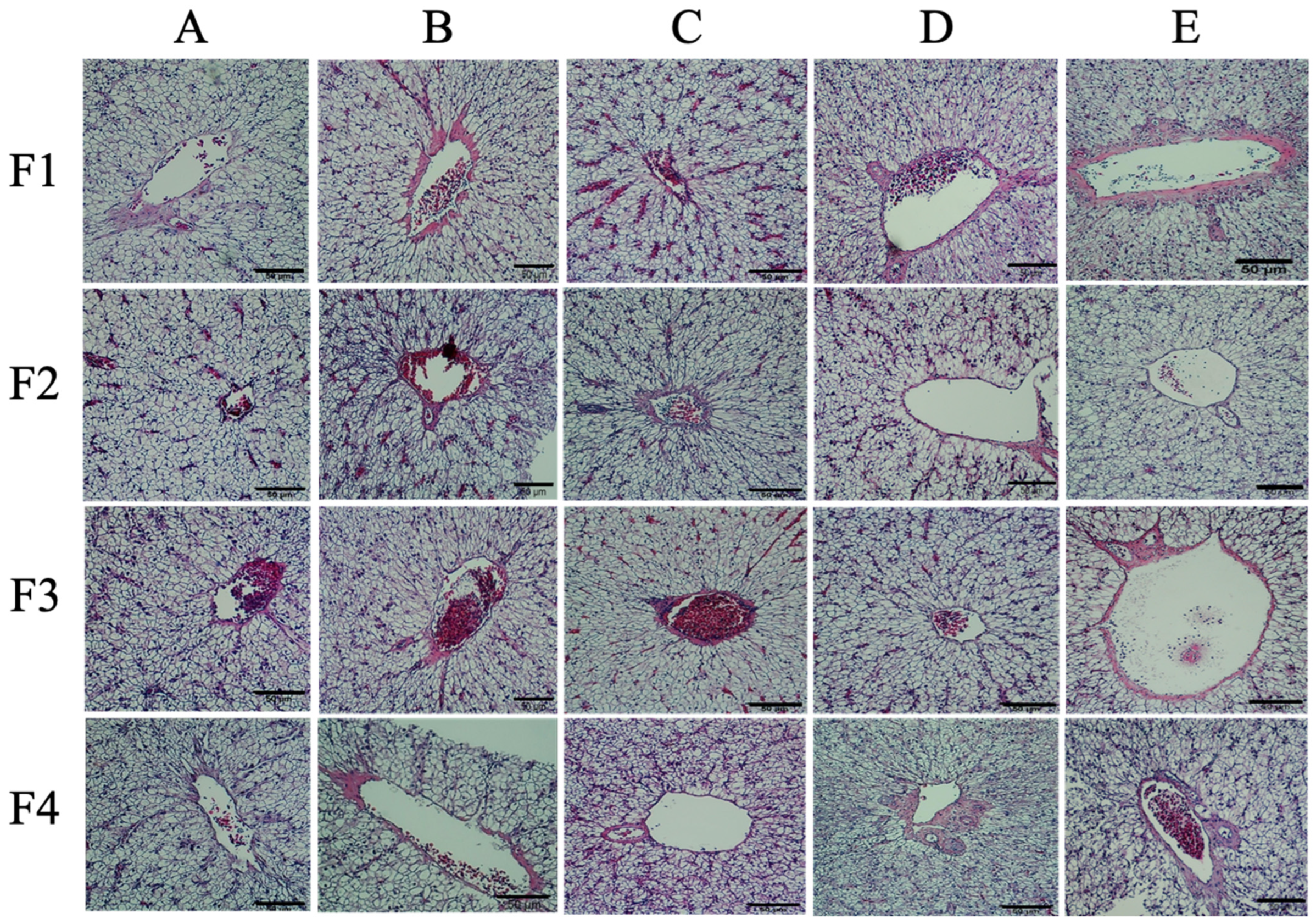 Microorganisms 11 01807 g006 Microorganisms 11 01807 g006