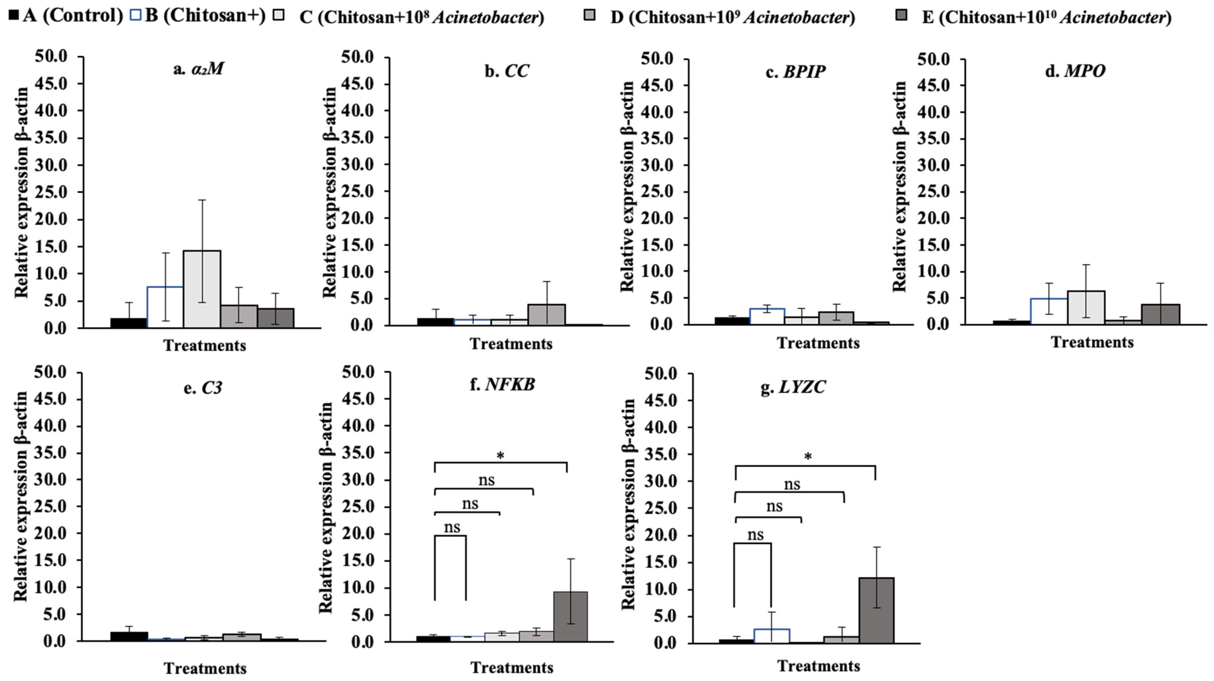 Microorganisms 11 01807 g011 Microorganisms 11 01807 g011