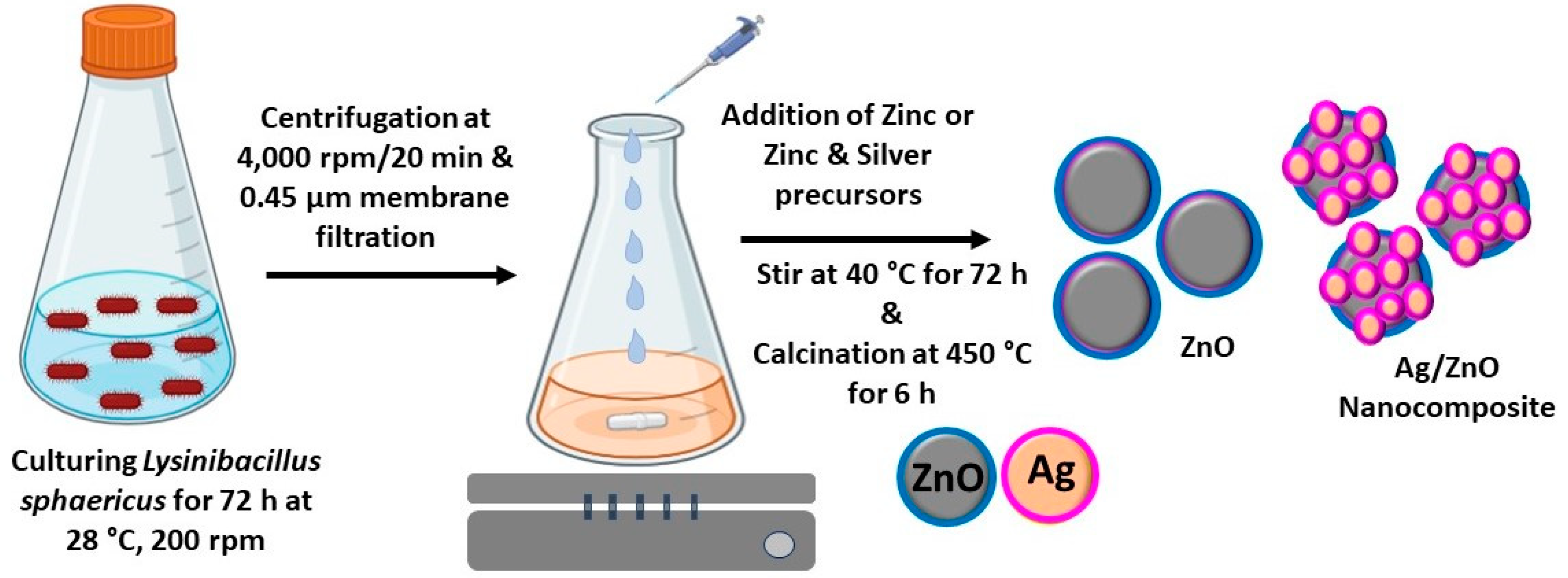 Microorganisms 11 01810 g001 Microorganisms 11 01810 g001