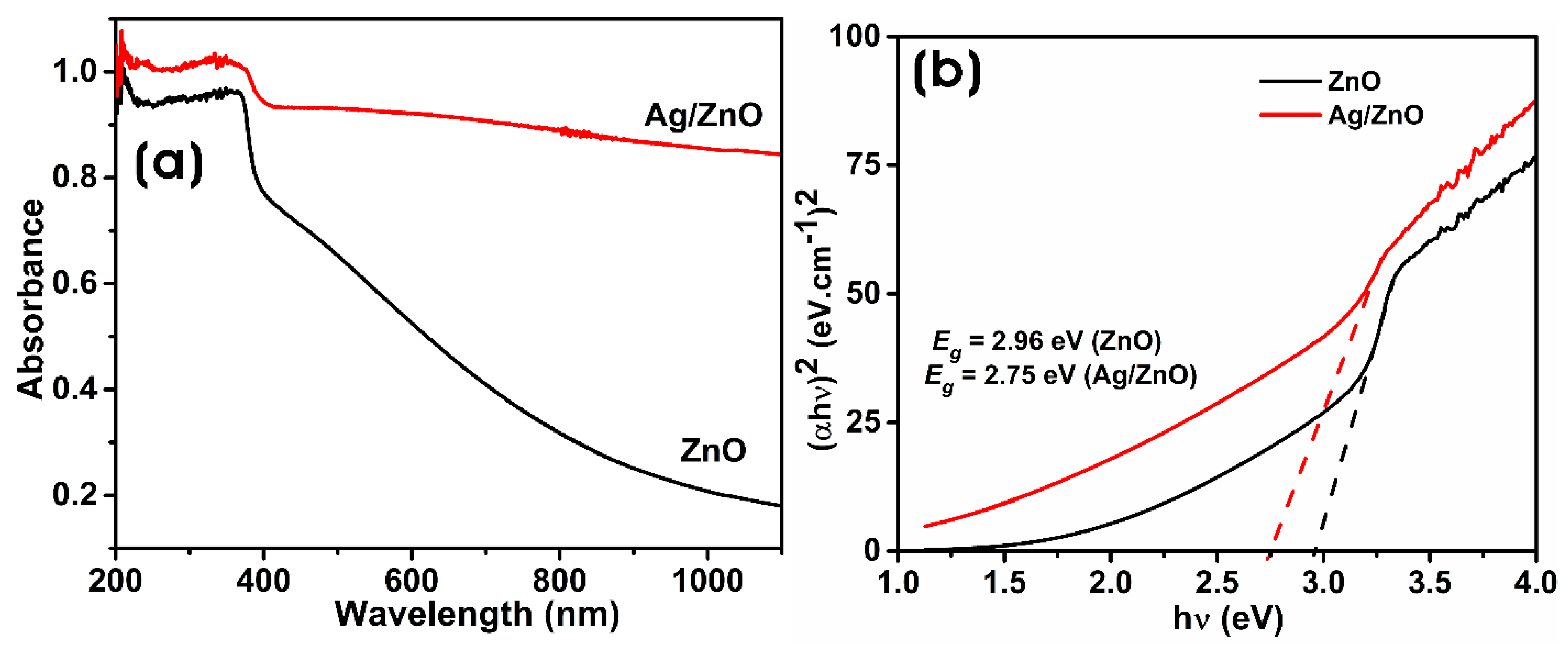 Microorganisms 11 01810 g002 Microorganisms 11 01810 g002