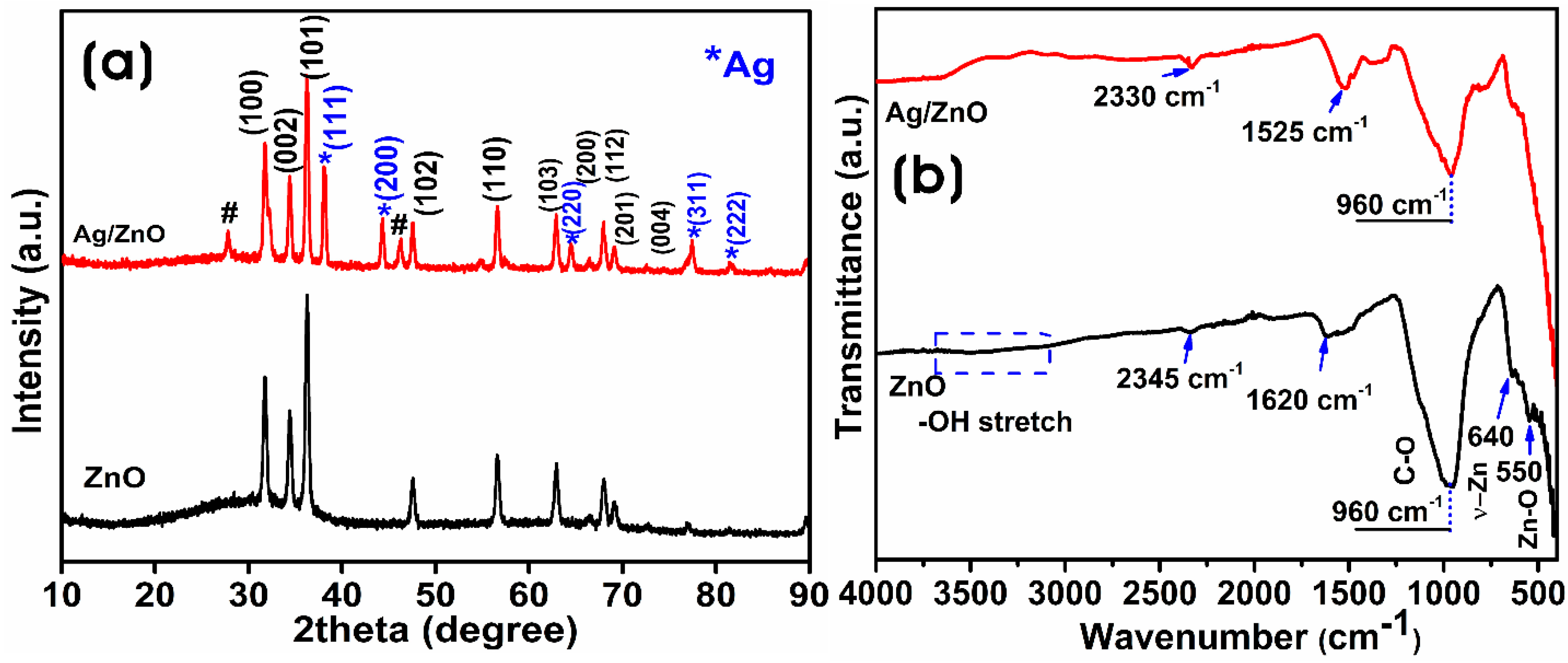 Microorganisms 11 01810 g003 Microorganisms 11 01810 g003